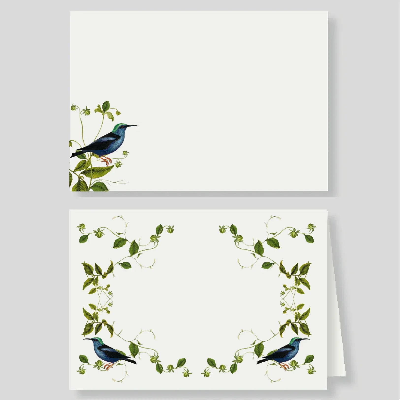 Tarjetón + Tarjetón doble Colibri