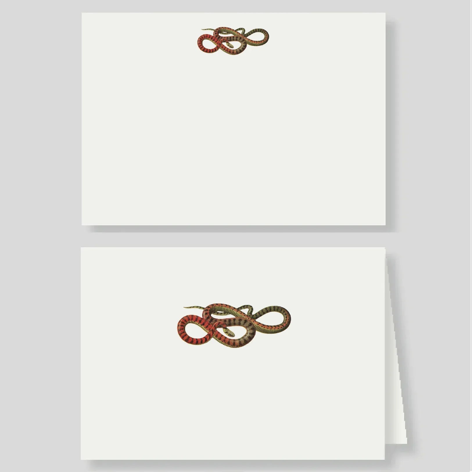 Tarjetón + Tarjetón doble Culebra