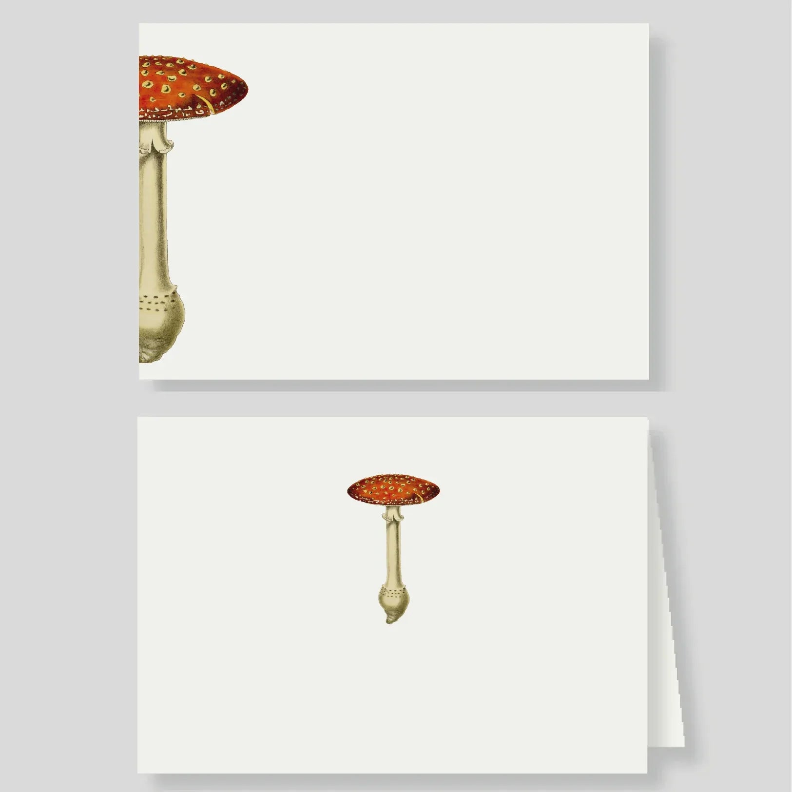 Tarjetón + Tarjetón doble mush rojo