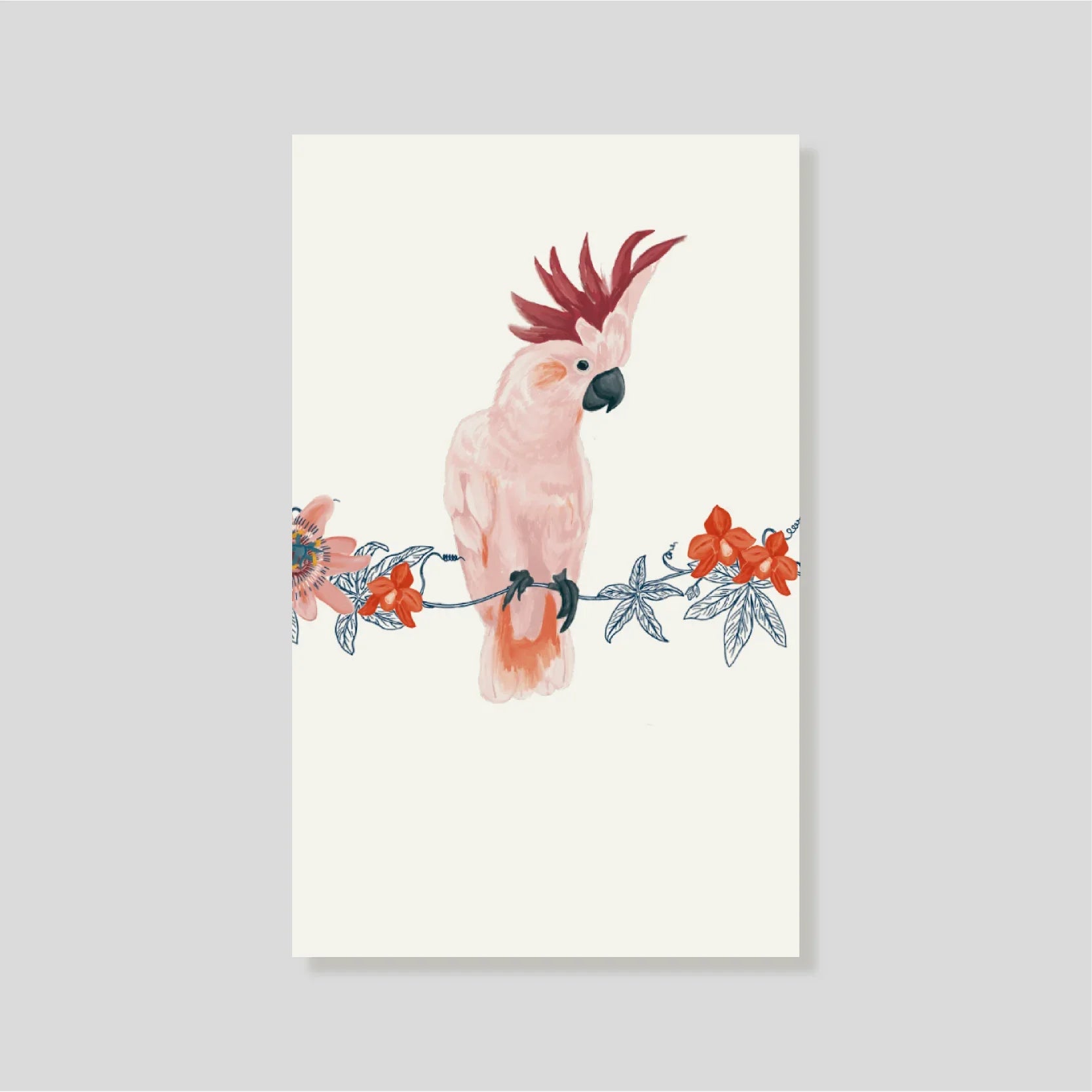 Tarjeta Personal Nido (V)