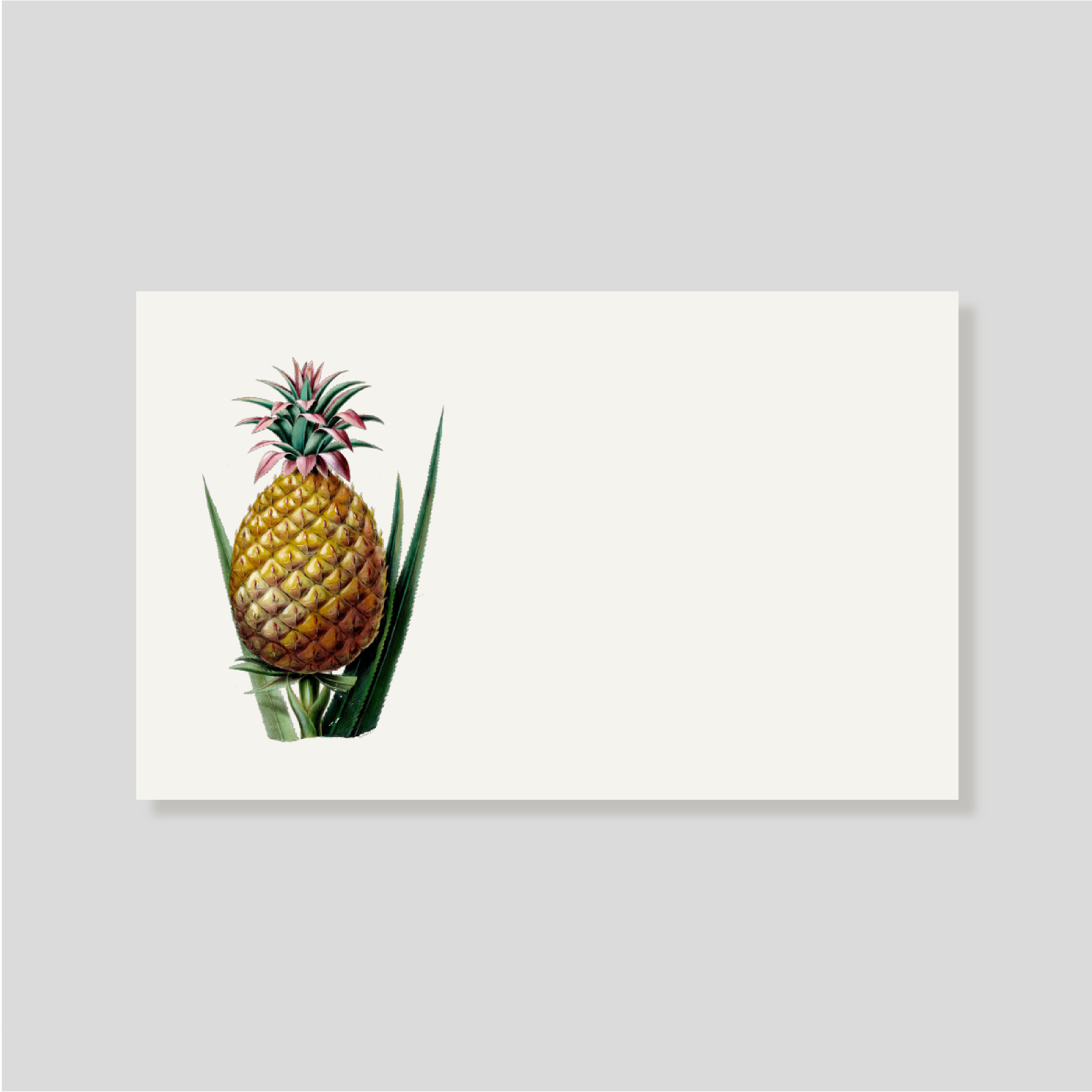 Tarjeta Personal Piña con sobre (h)
