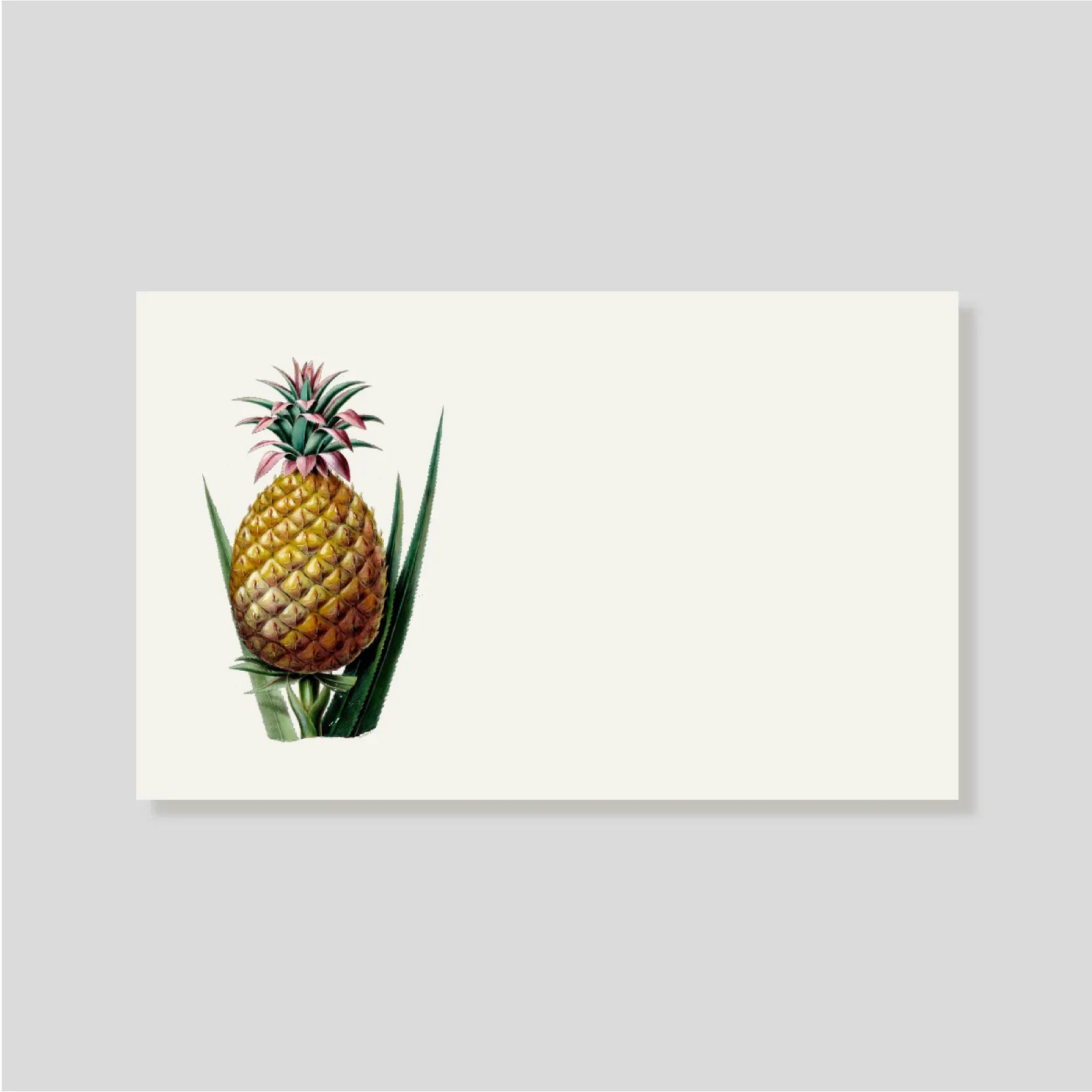 Tarjeta Personal Piña (H)