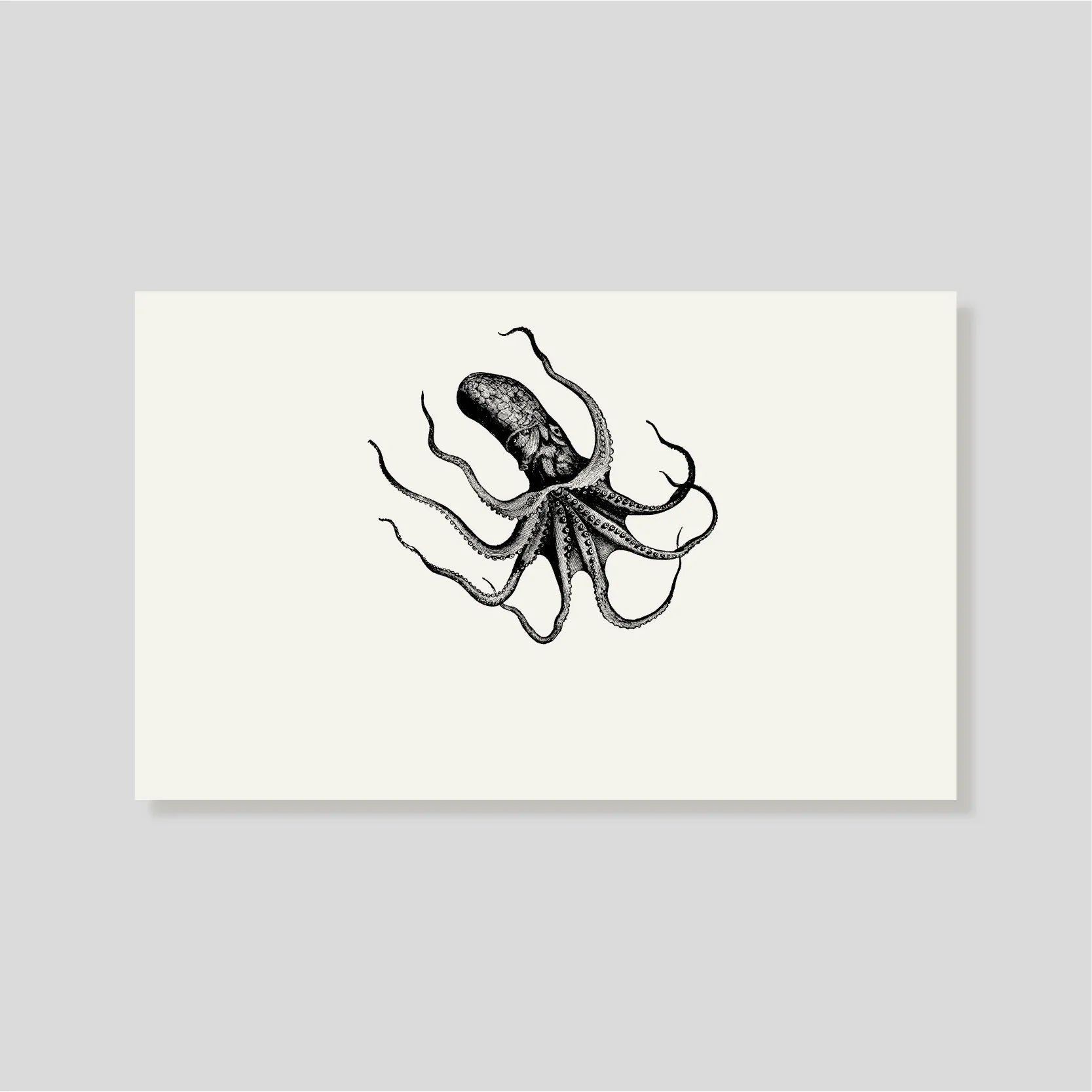 Tarjeta Personal Pulpo (H)