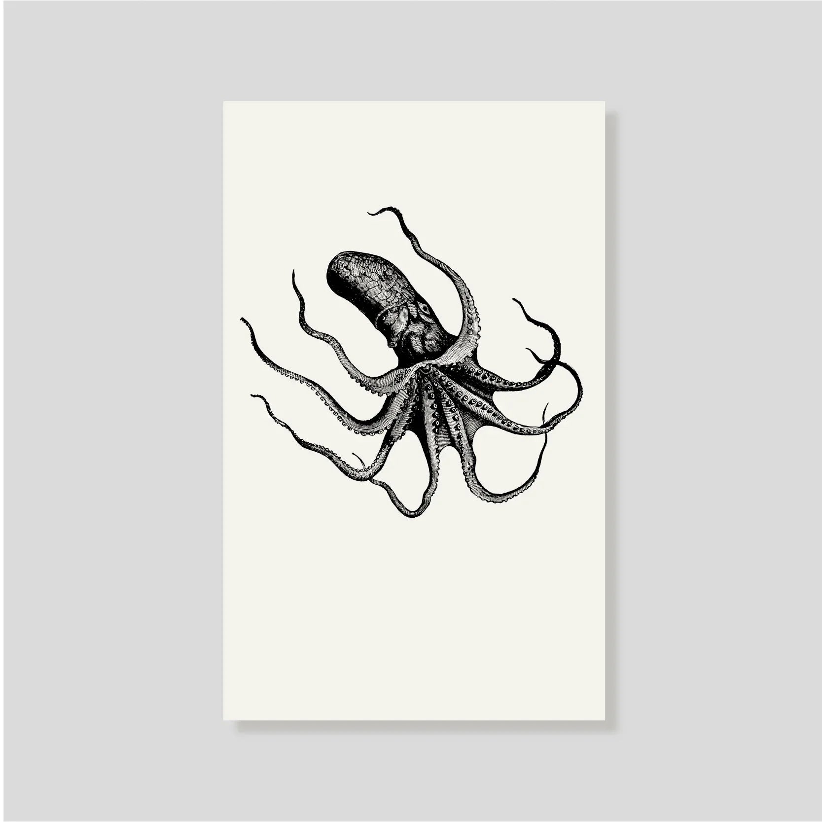 Tarjeta Personal Pulpo con sobre (v)