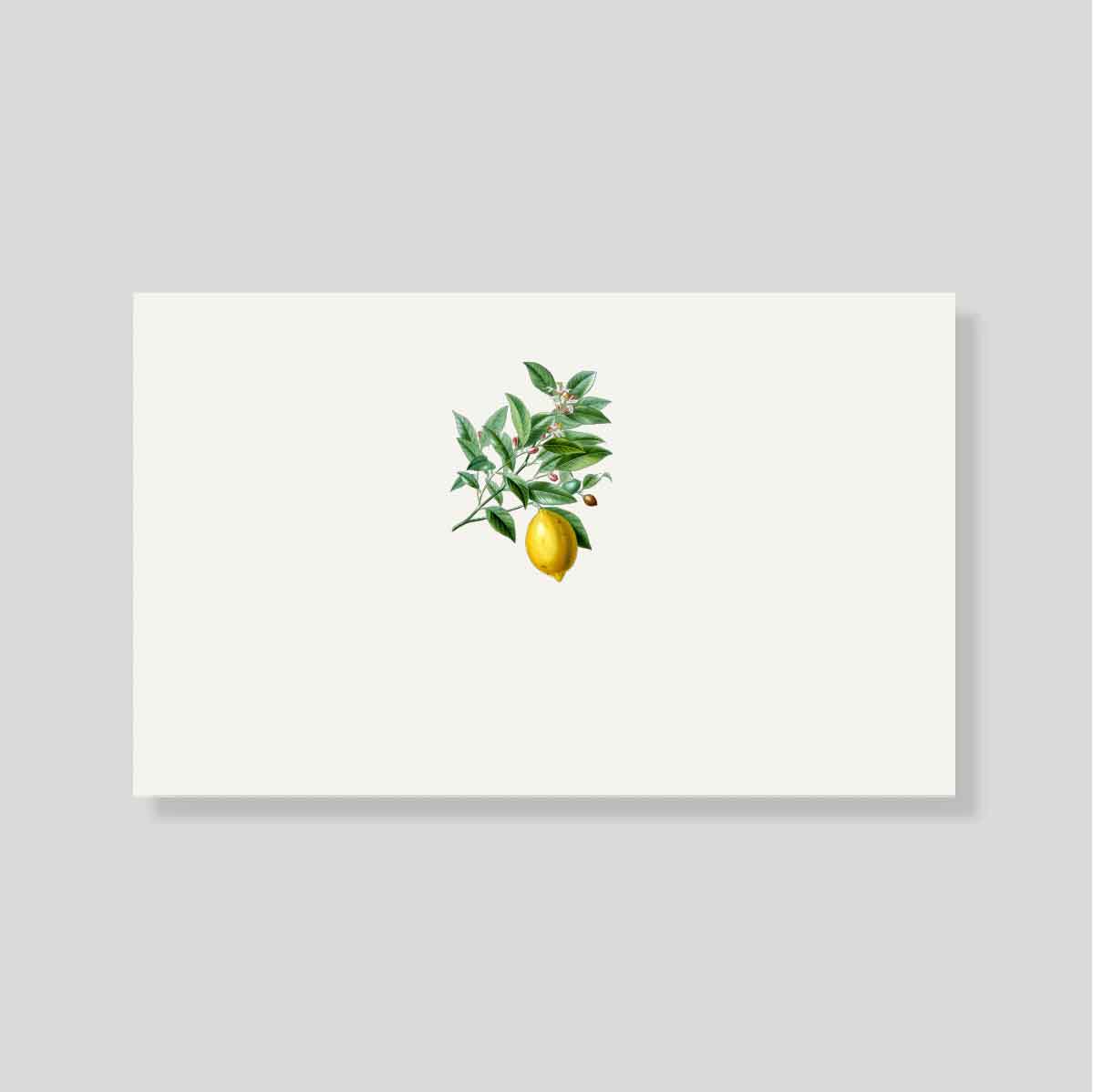 Tarjeta Personal Toscana Limon (hor)