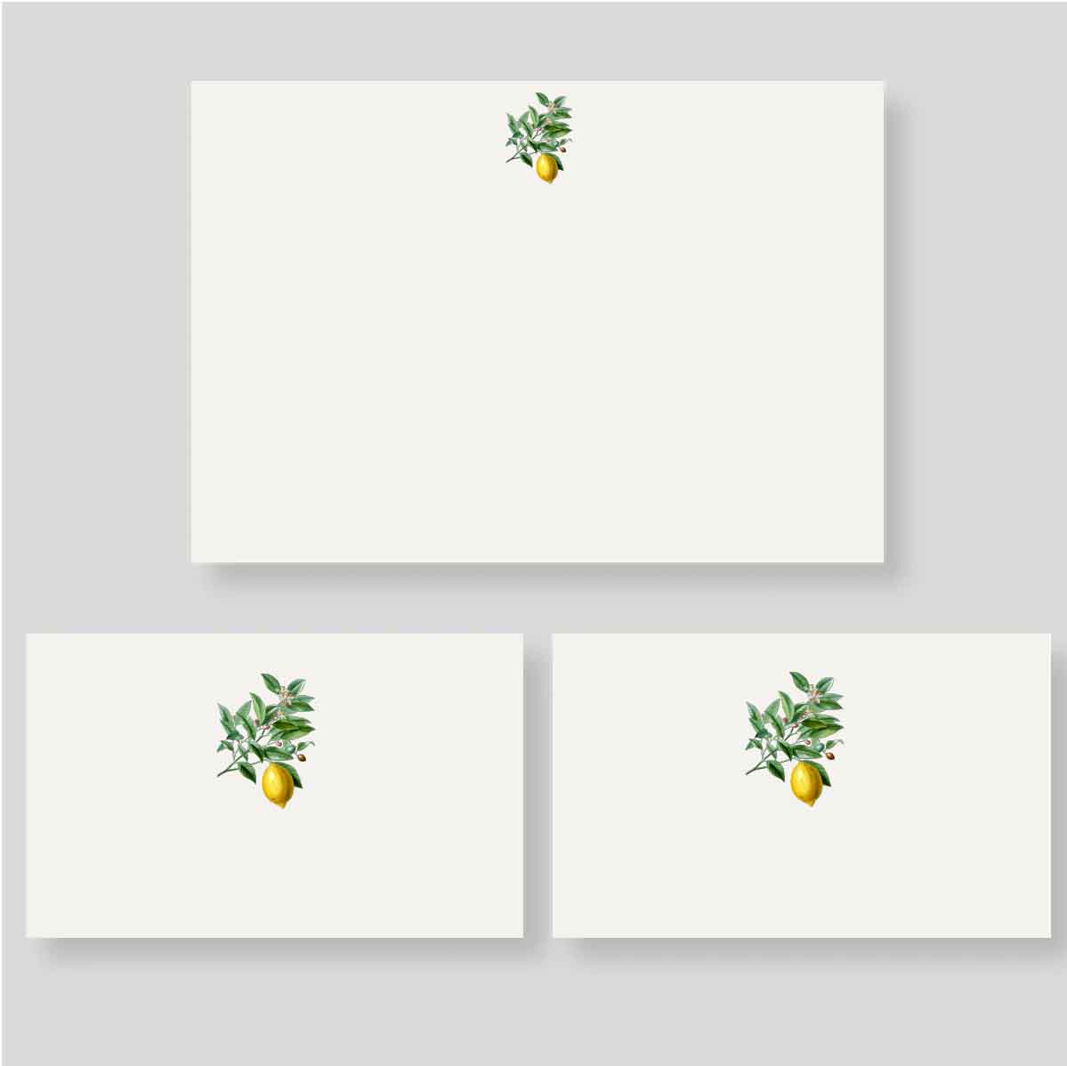 Caja Mediana Toscana Limón