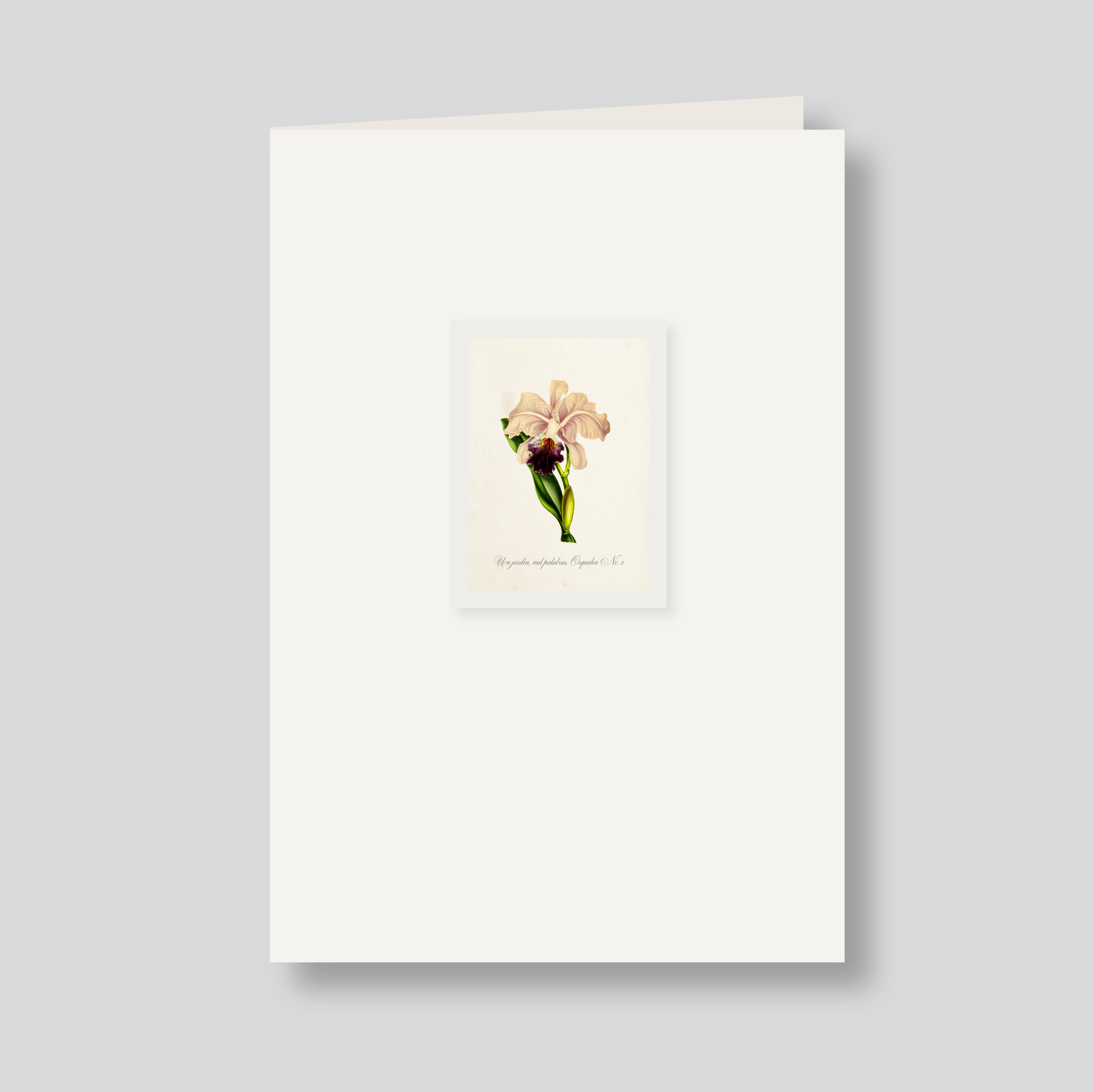 Tarjeton doble Orquidea #2 (listo para llevar)