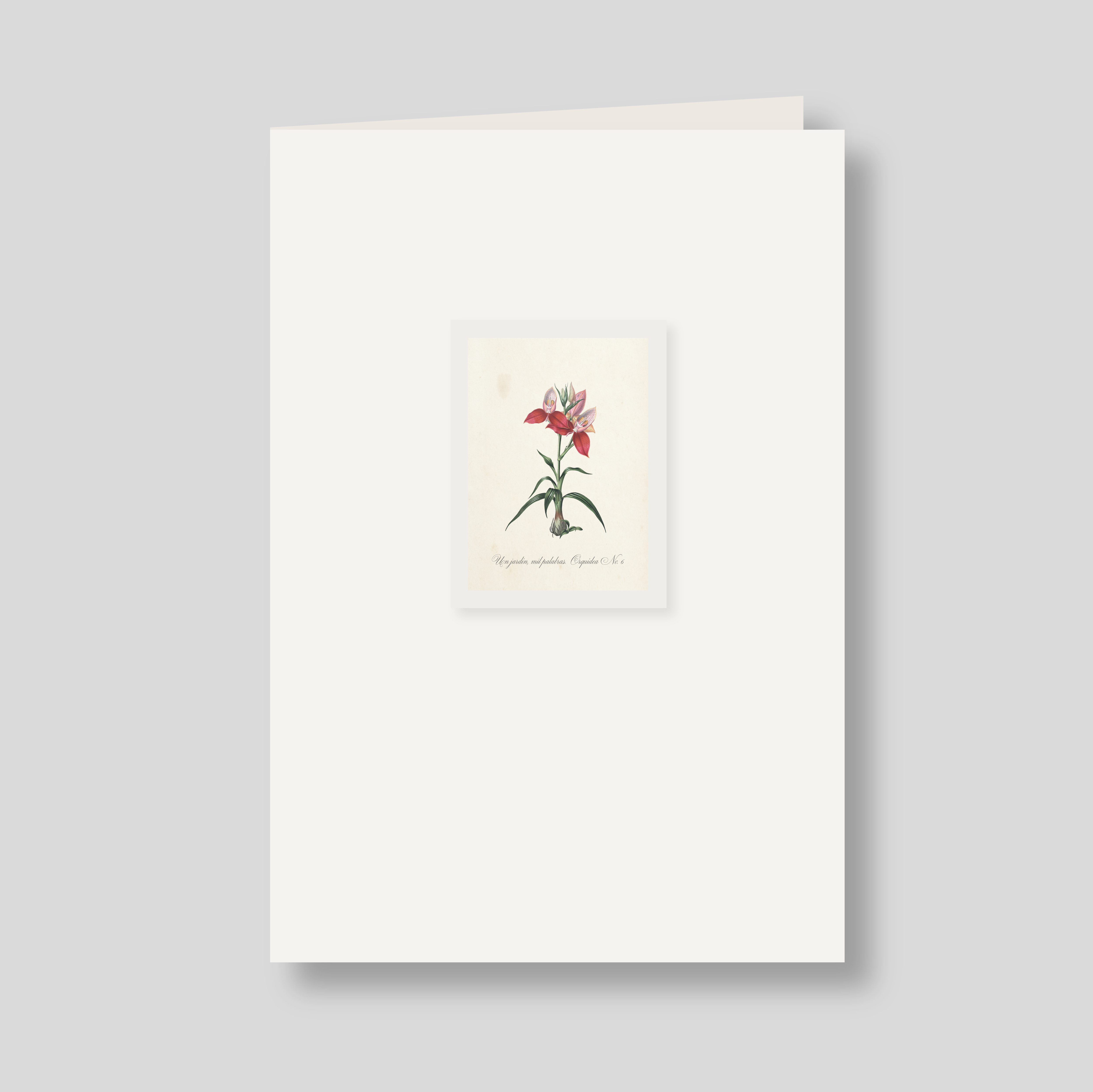 Tarjeton doble Orquidea #6 (listo para llevar)