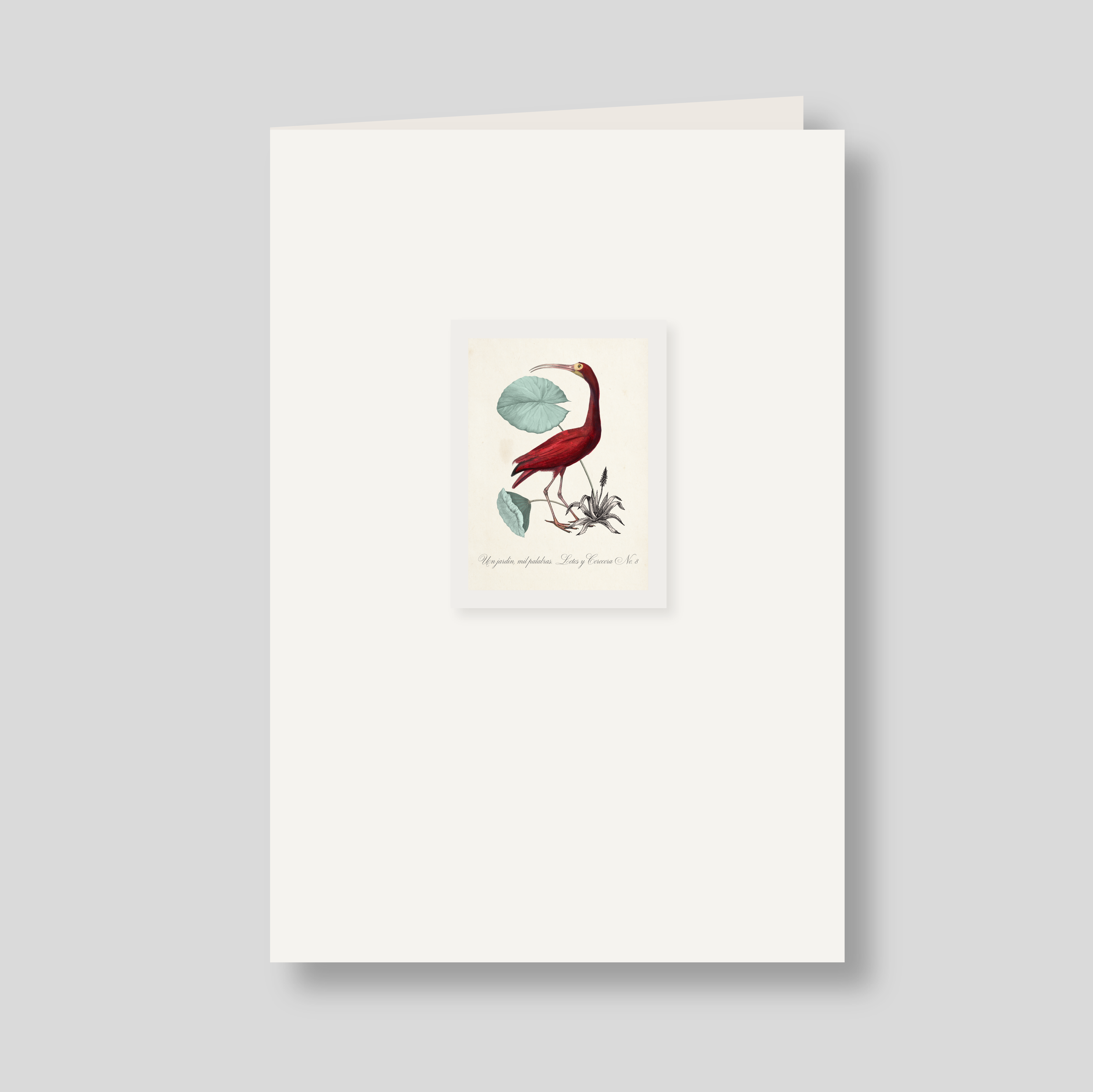 Tarjeton doble Lotos y cococora #8 (listo para llevar)