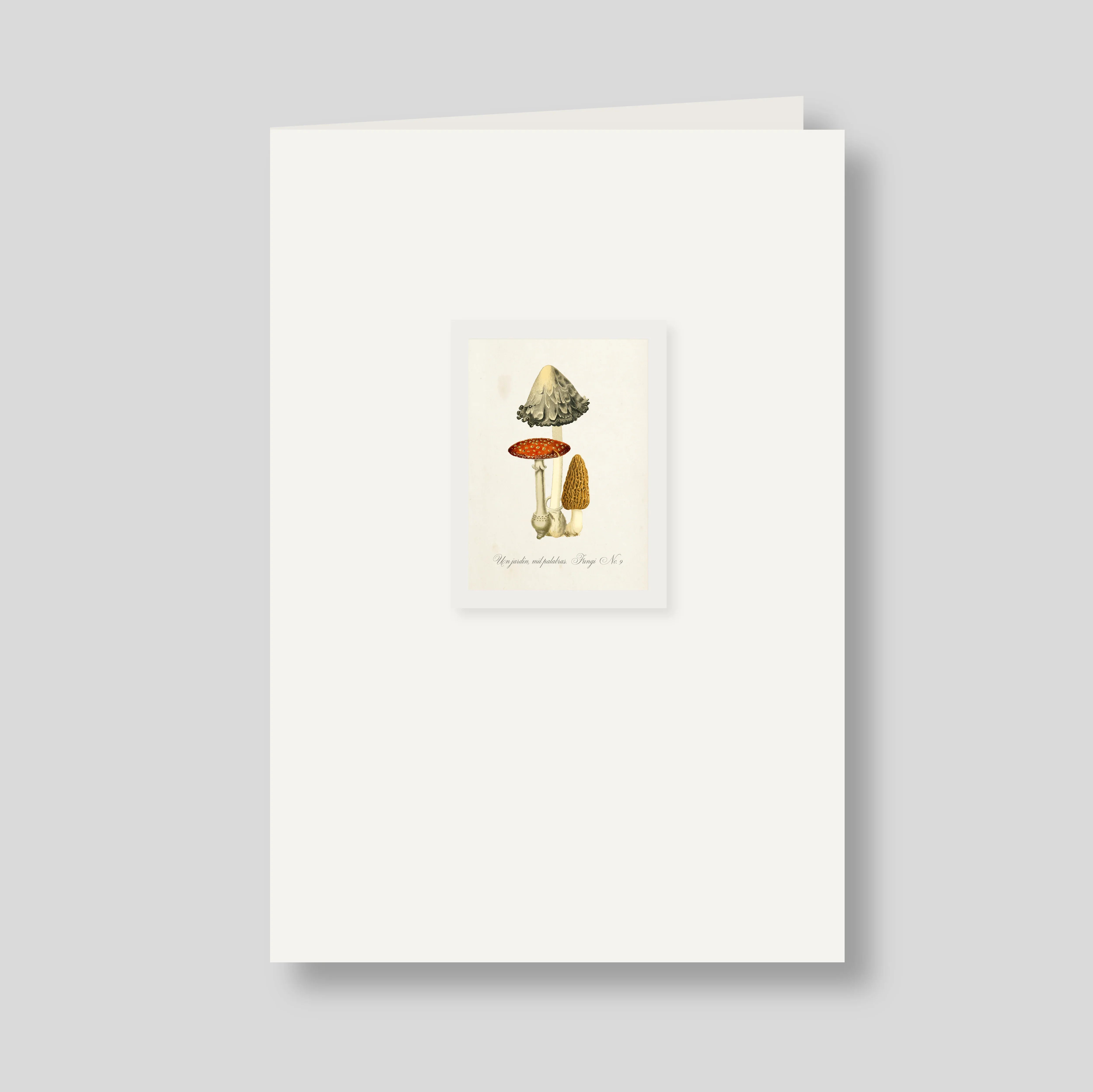 Tarjeton doble Fungi #9 (listo para llevar)