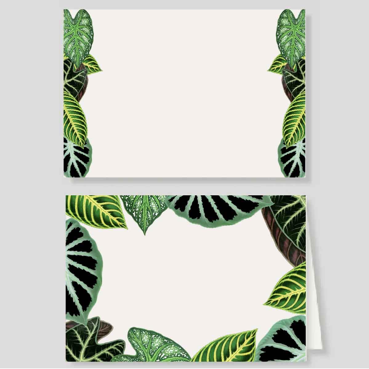 Tarjetón + Tarjetón doble Verde