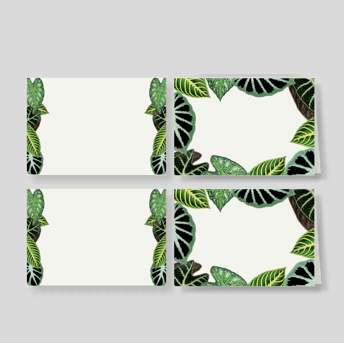 Caja Grande Luxe VERDE (80 Tarjetas)