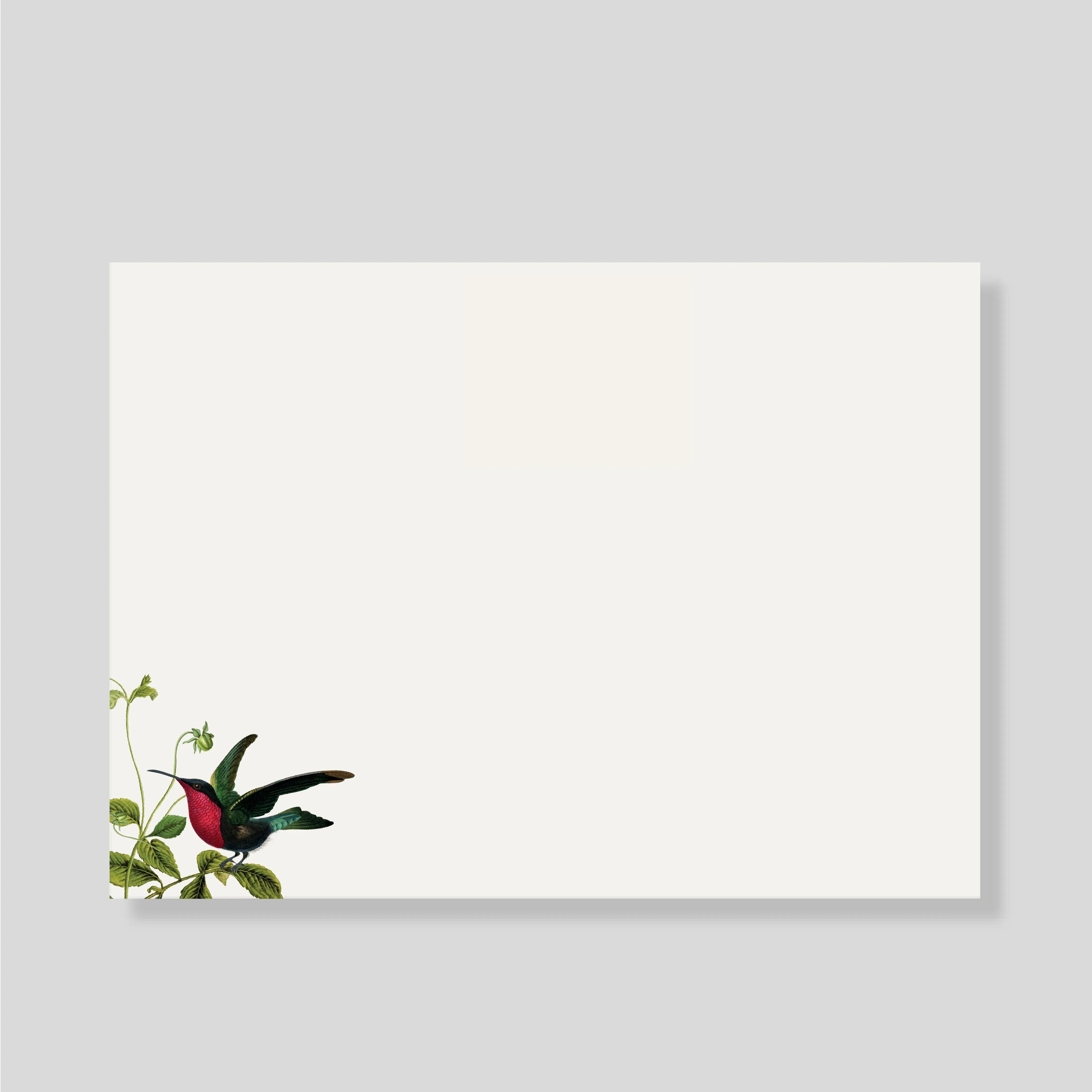 Tarjetones XL AVIARIO (Listas para llevar)