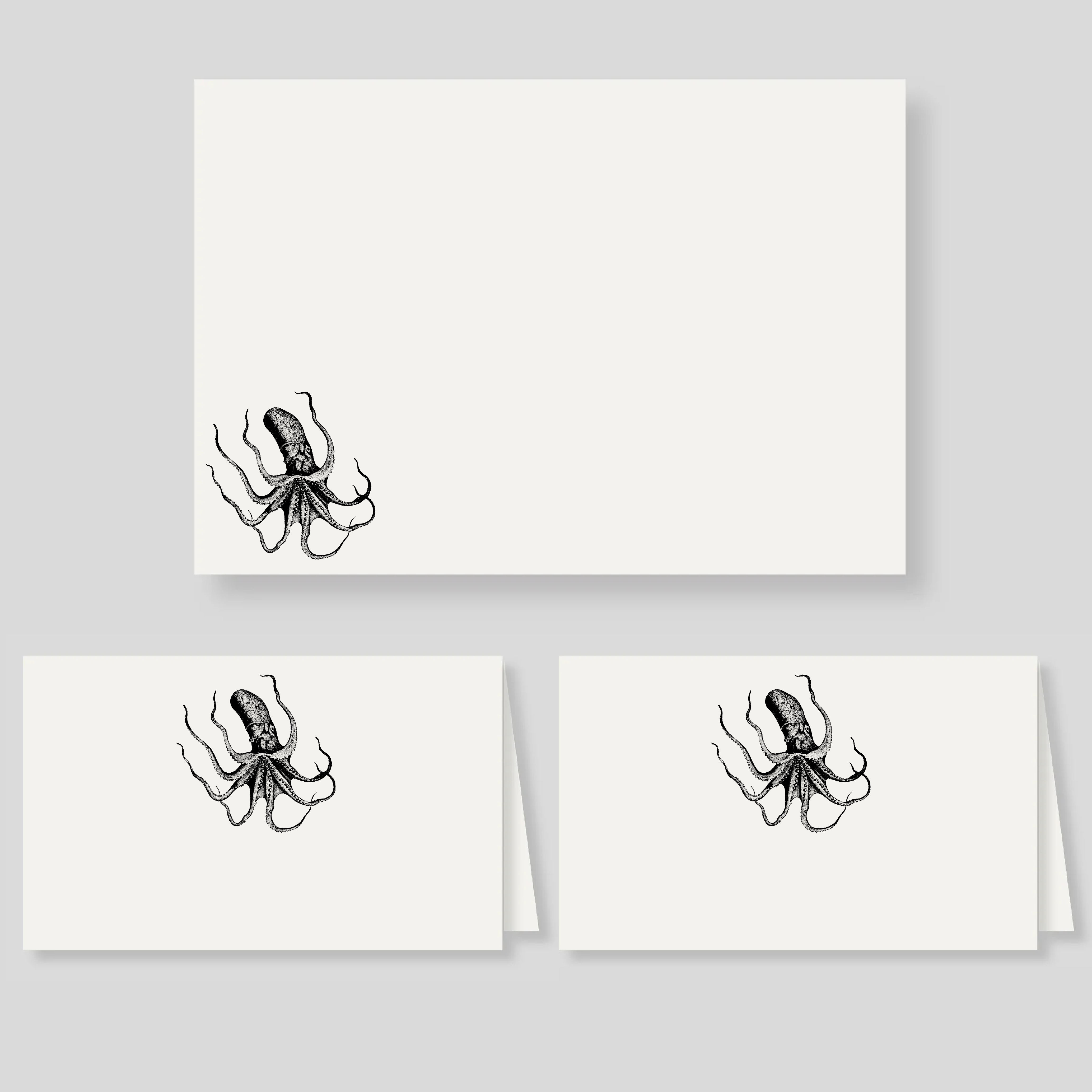 Pack tarjetón sencillo + notas dobles Pulpo (listos para llevar)