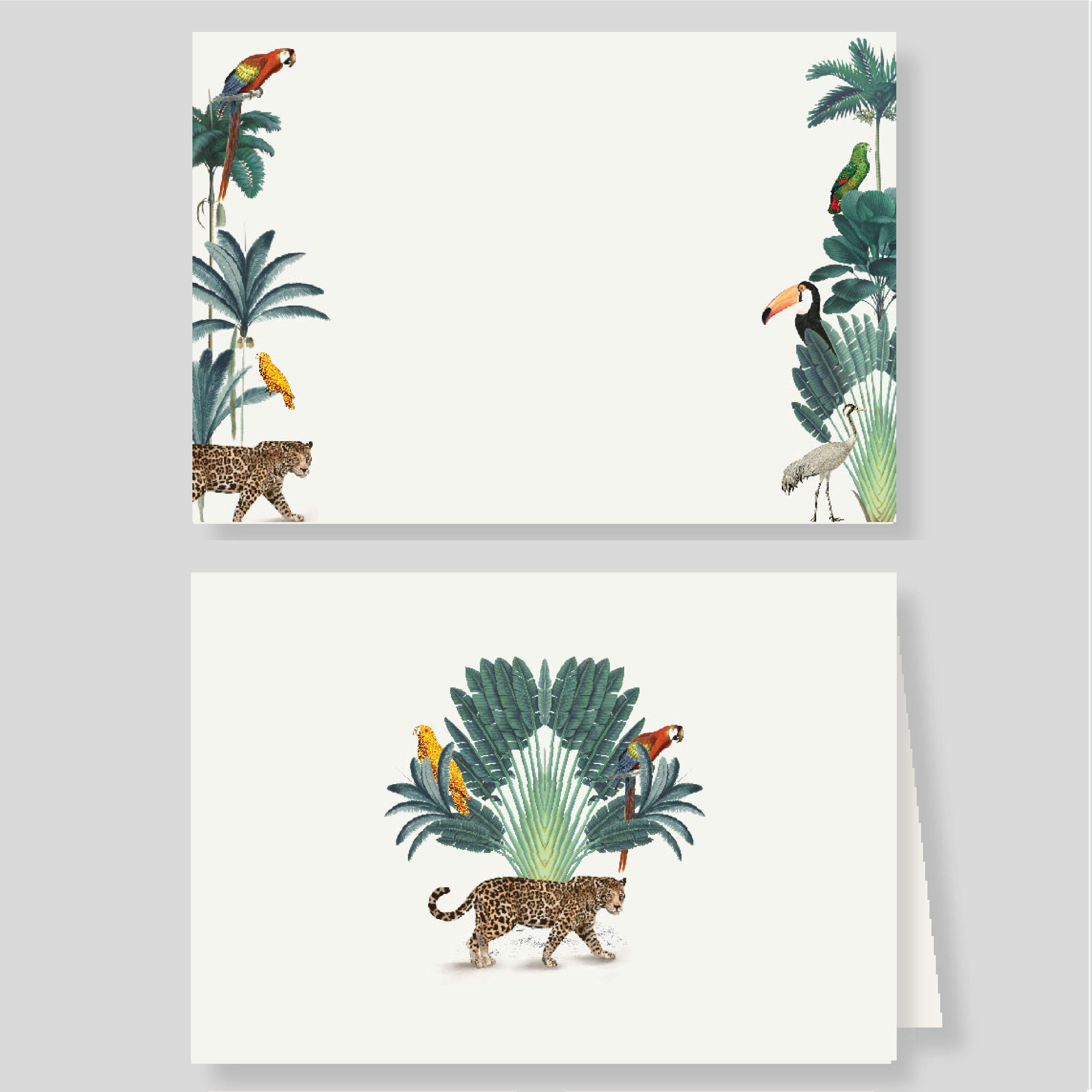 Pack tarjetón doble + sencillo AMAZONAS (listos para llevar)