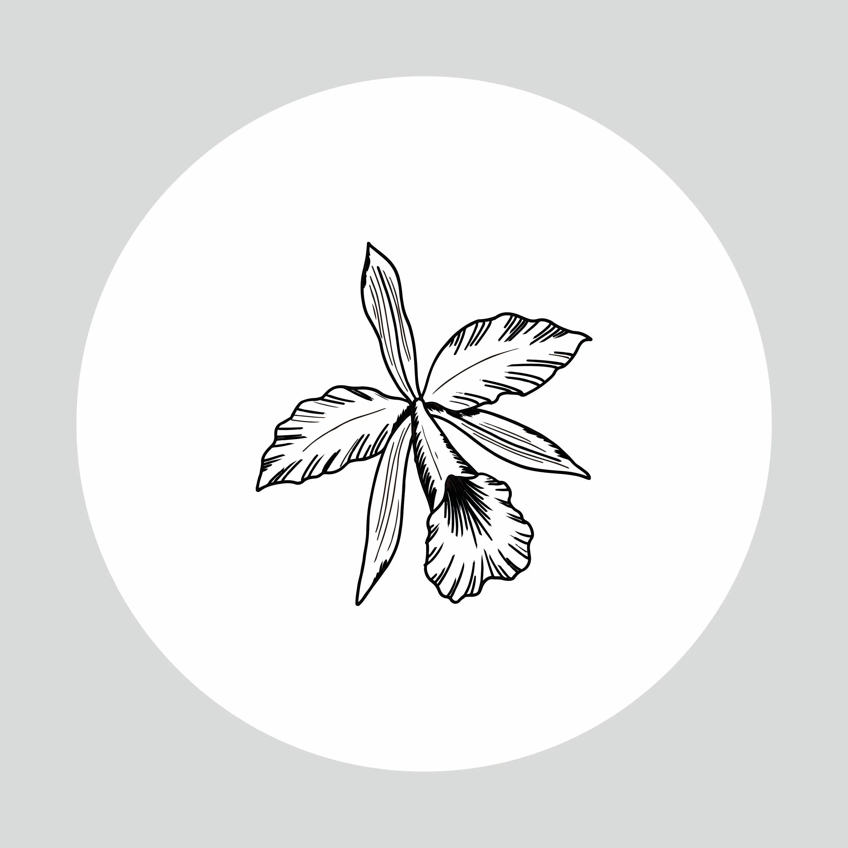 Sello Seco ORQUIDEA