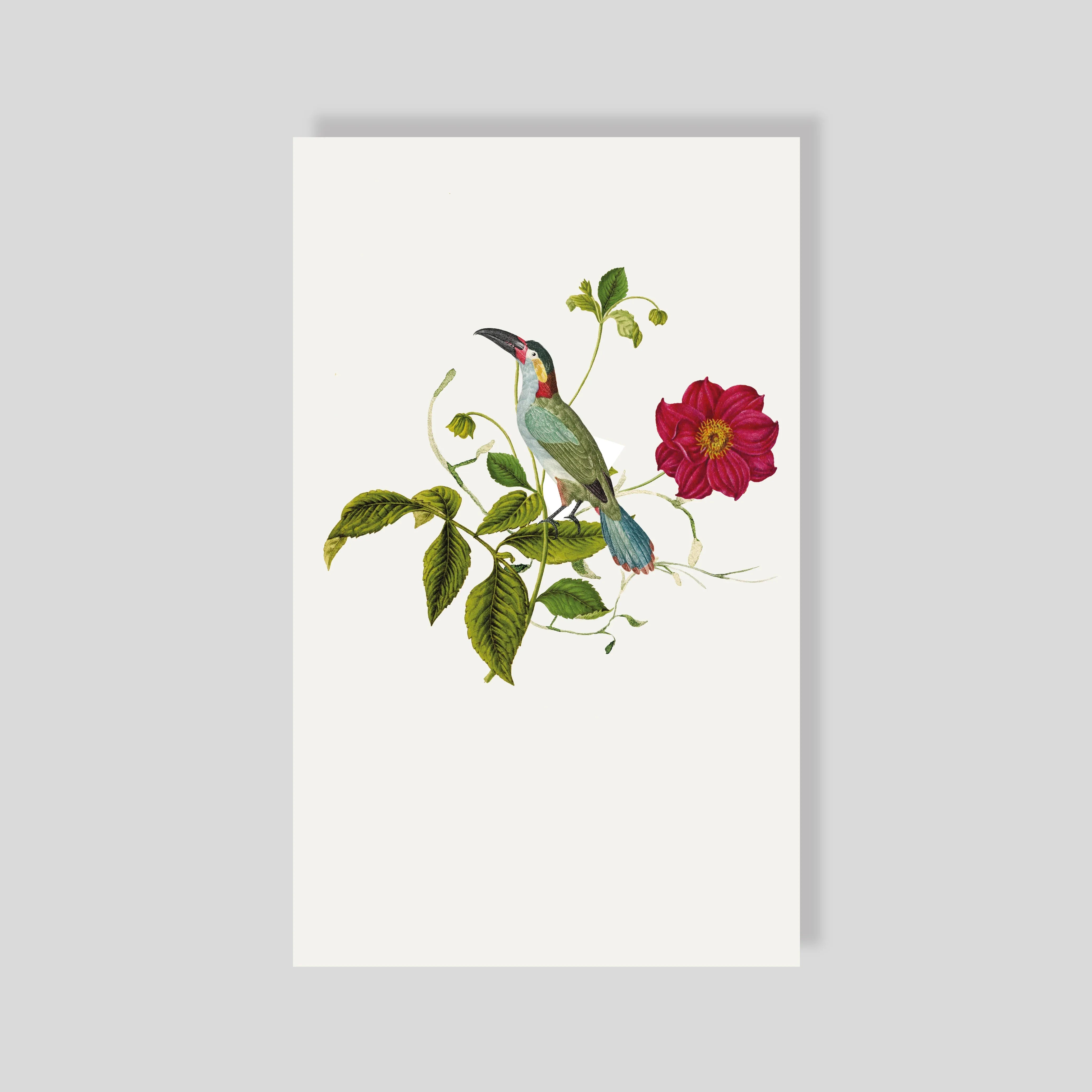 Tarjeta Personal Aviario Verde con sobre