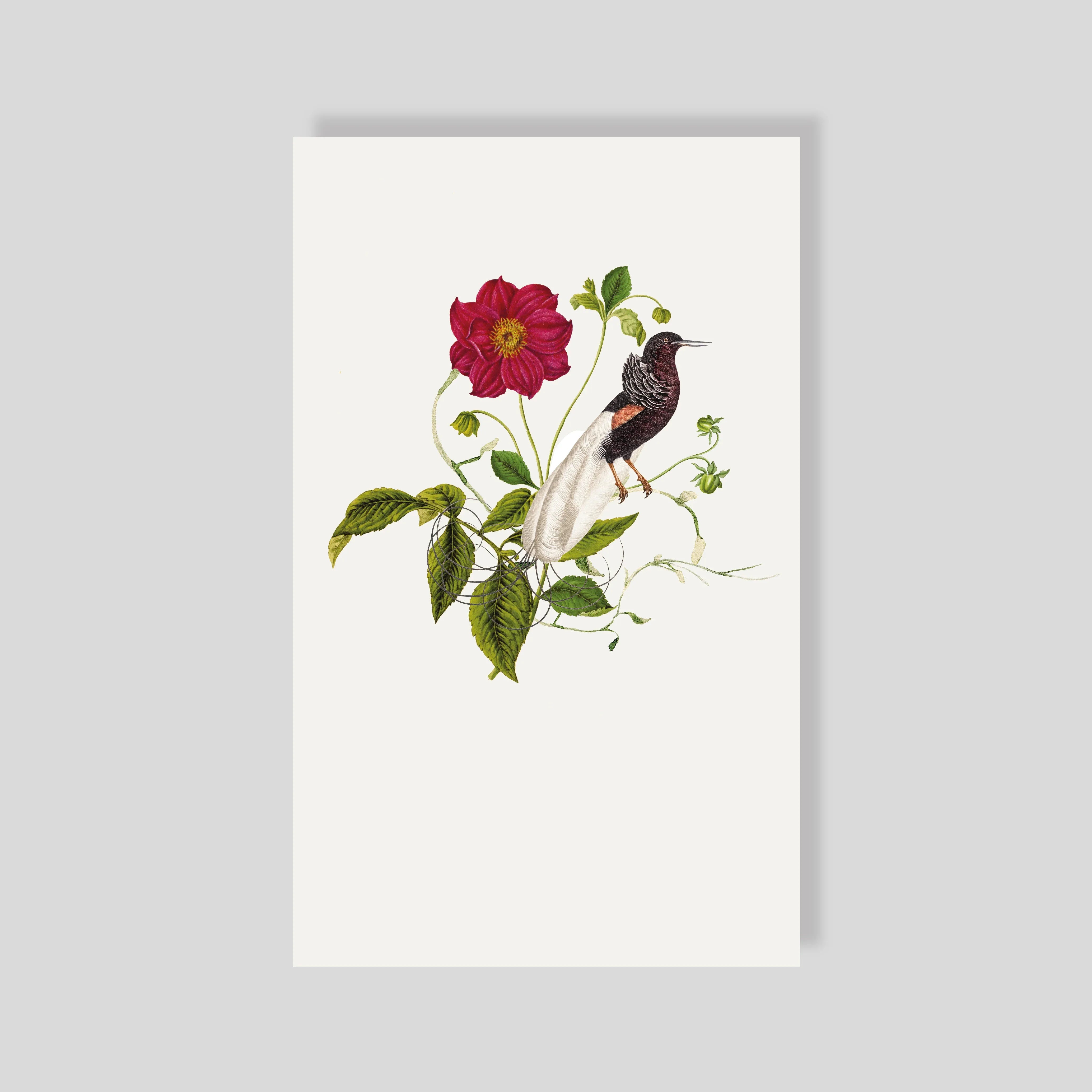 Tarjeta Personal Aviario Cafe