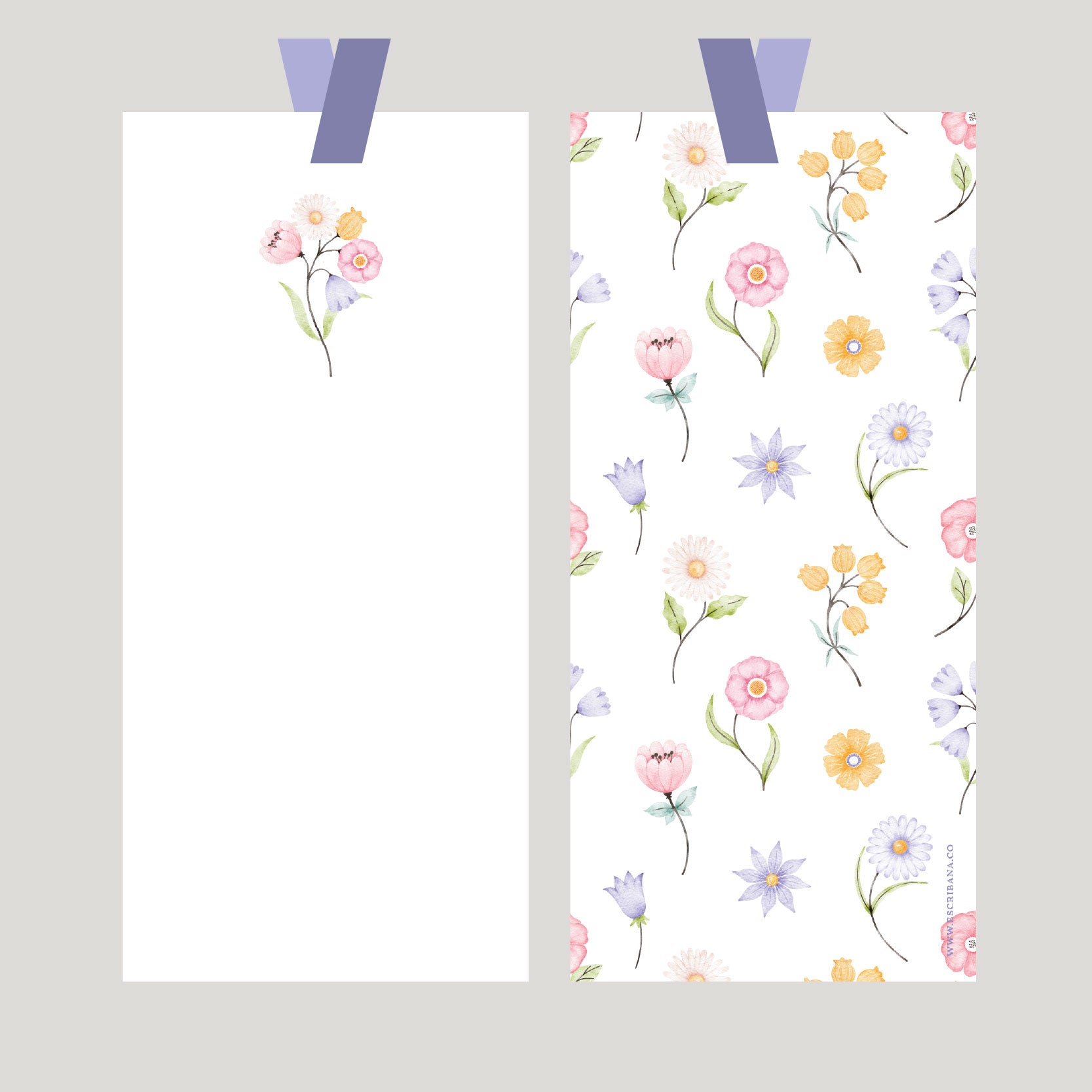 Registros / Folios Bailadoras