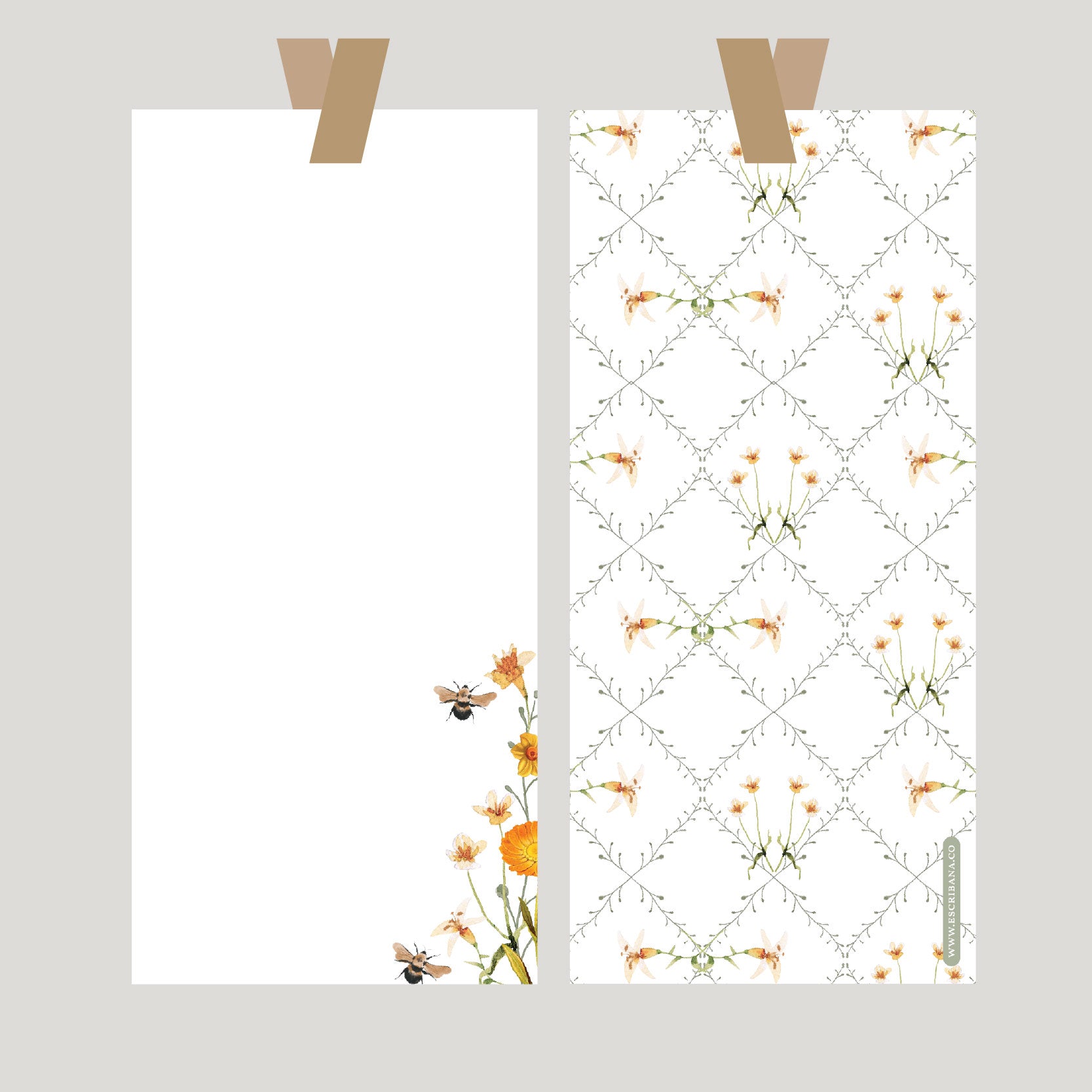 REGISTROS / FOLIOS BEE