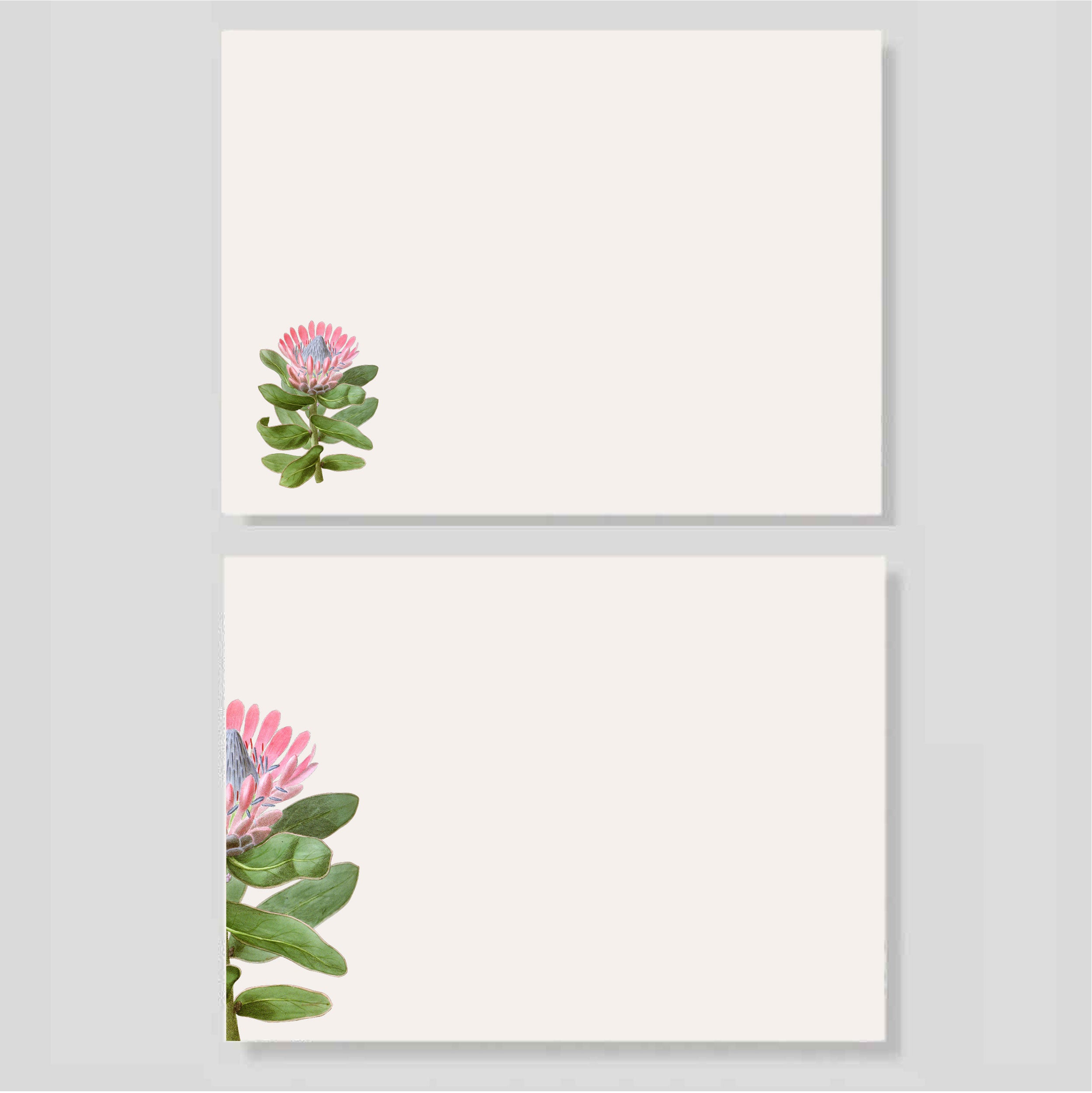 Block de Notas Protea