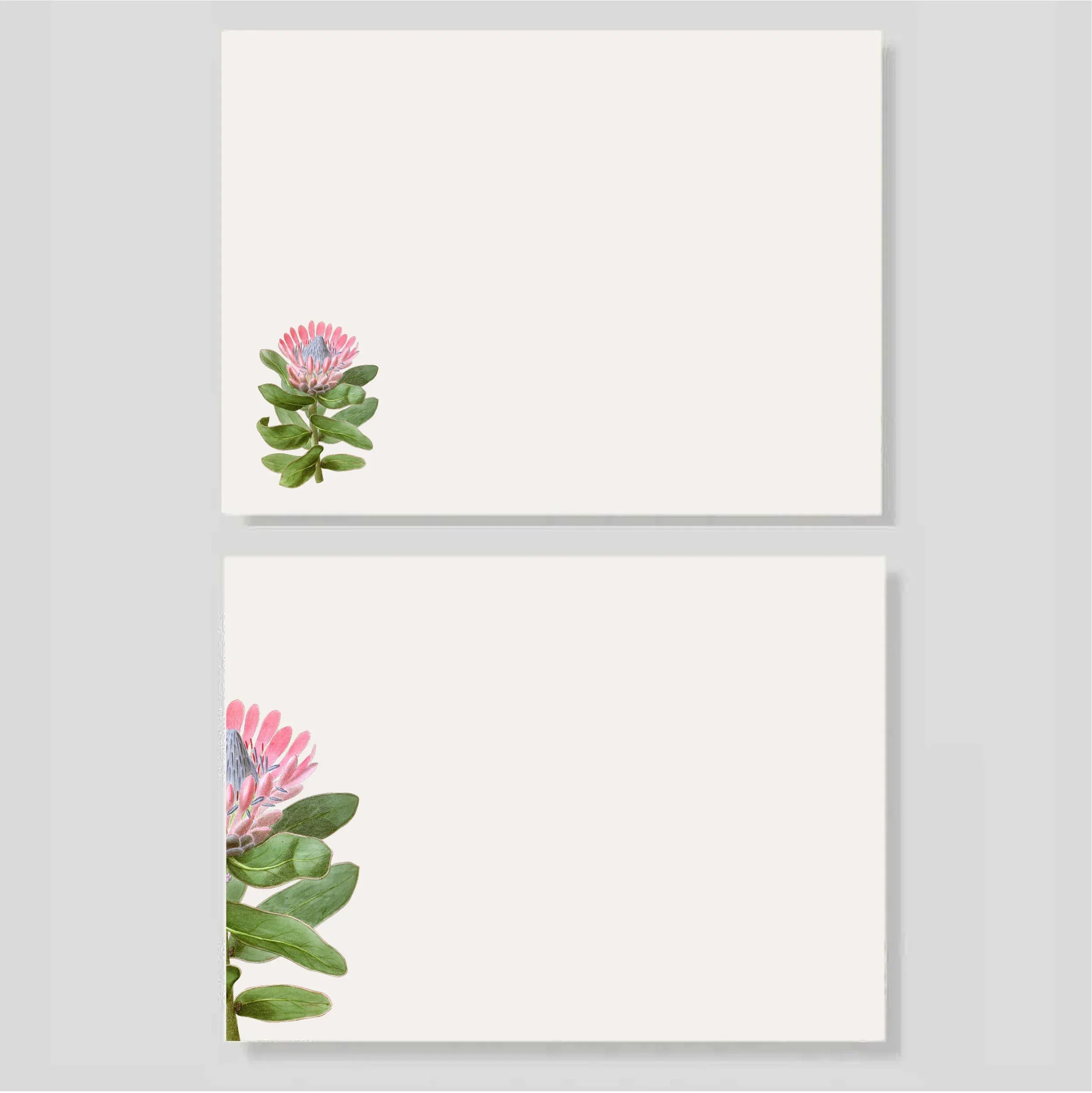 Block de Notas Protea