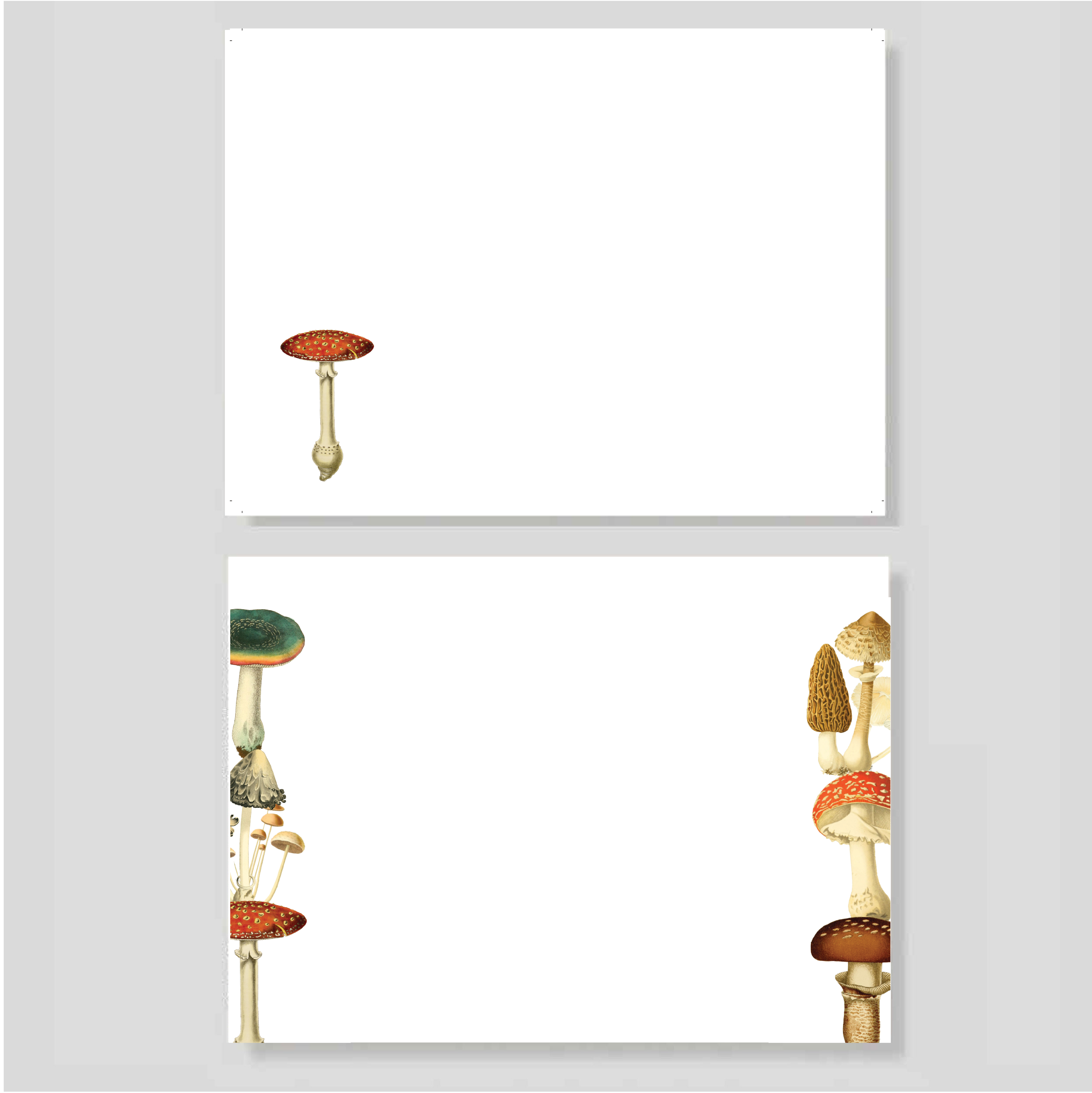 Blocks Mush (listos para llevar)