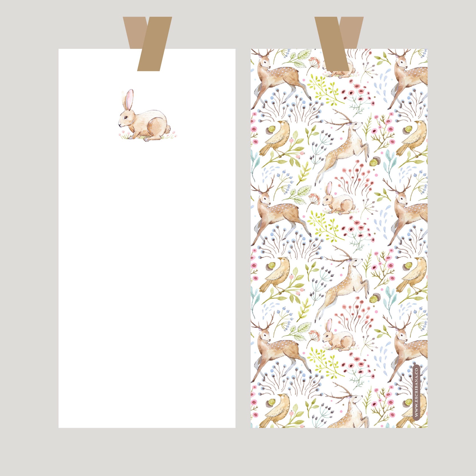 REGISTROS / FOLIOS BOSQUE