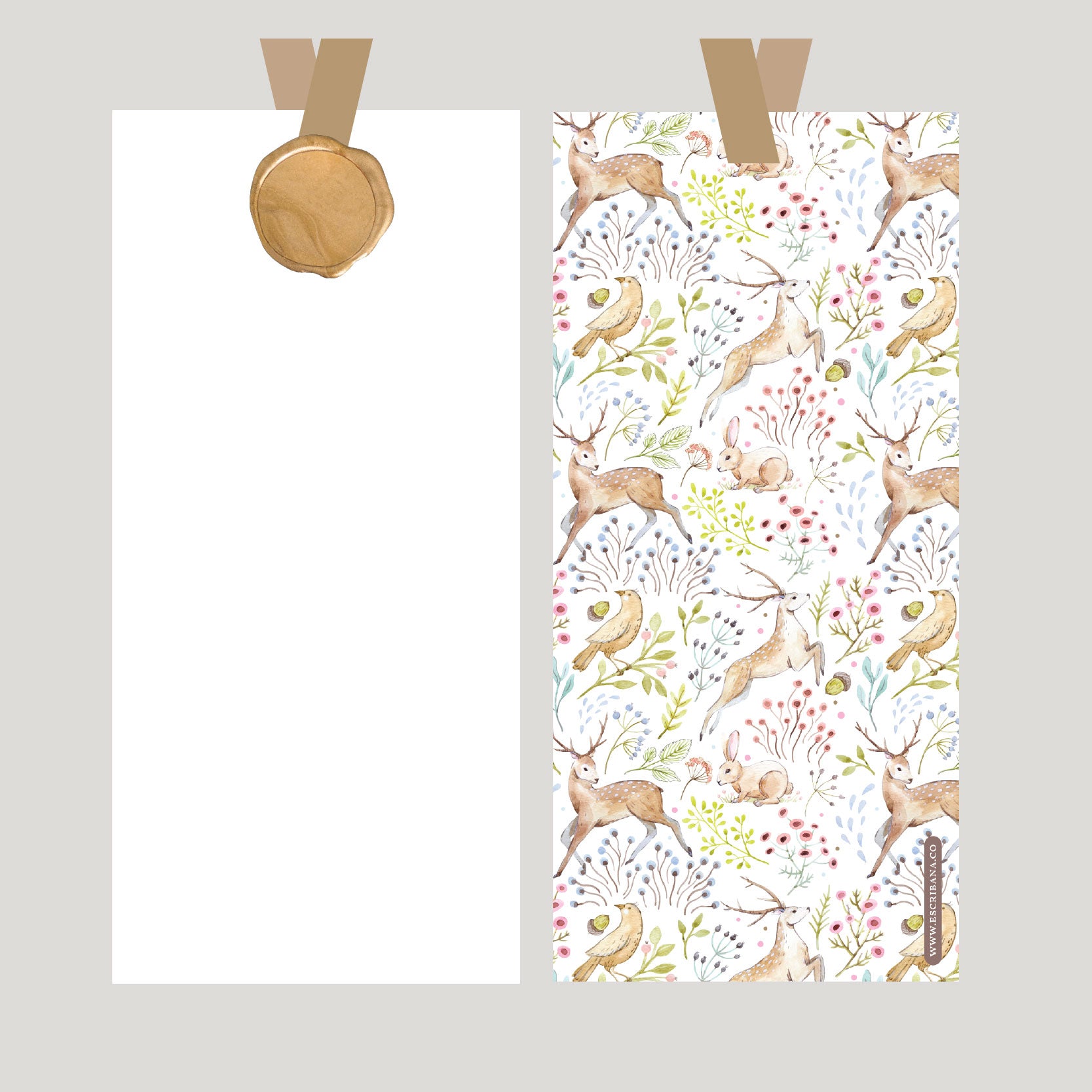 REGISTROS / FOLIOS BOSQUE CON LACRE
