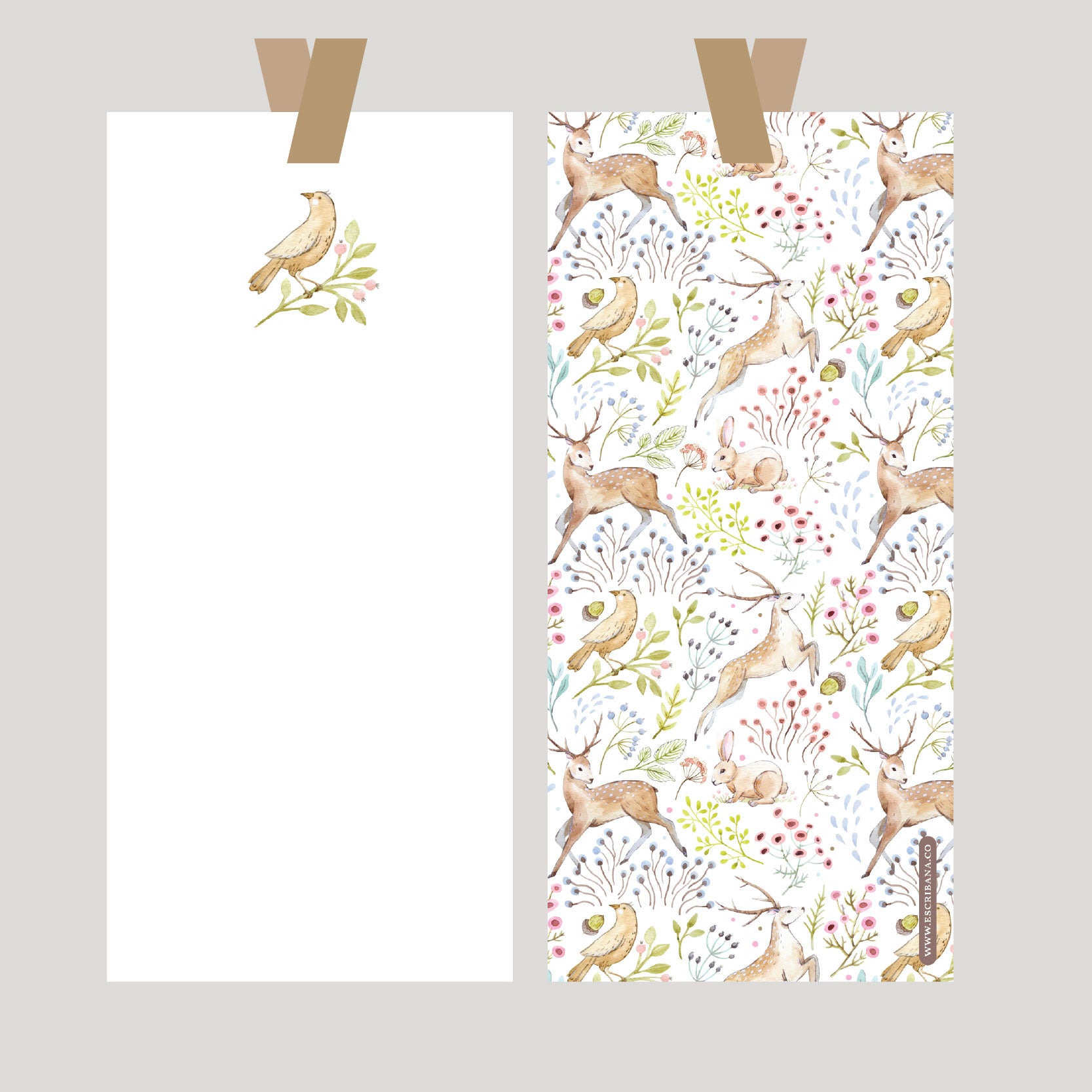 REGISTROS / FOLIOS BOSQUE