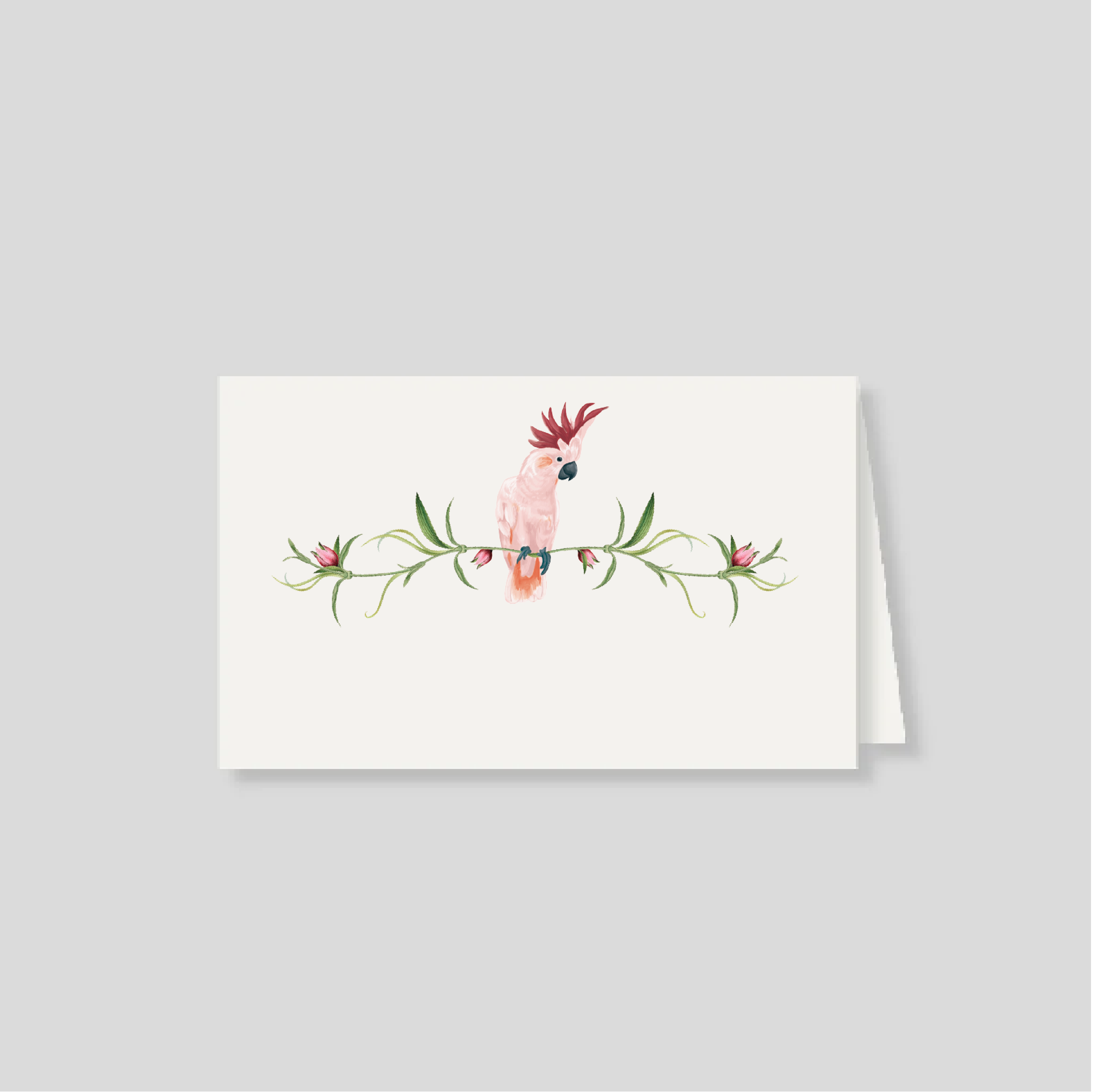 Notas dobles con sobre Cacatua Pembe