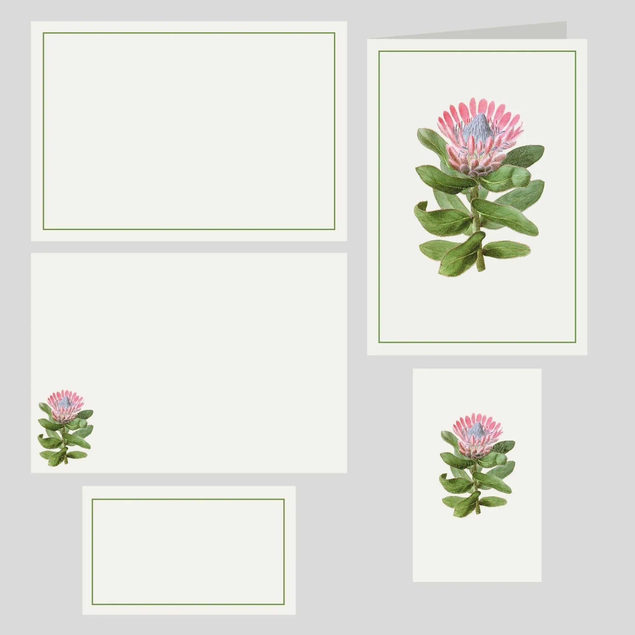 Caja Grande Flex Protea