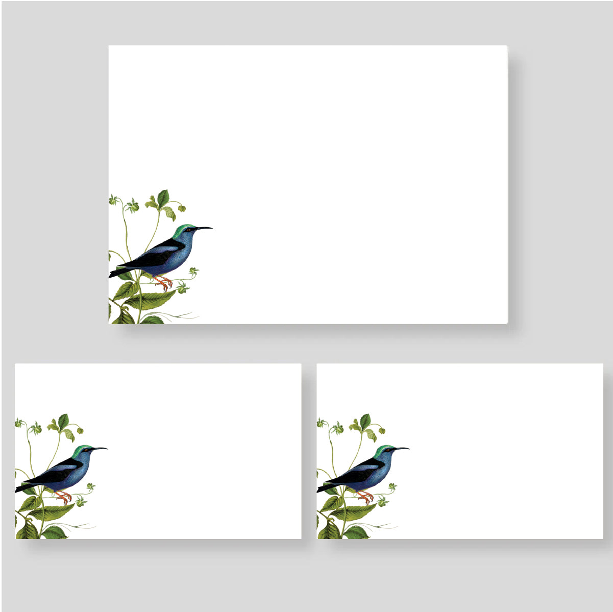 Caja Mediana Colibrí