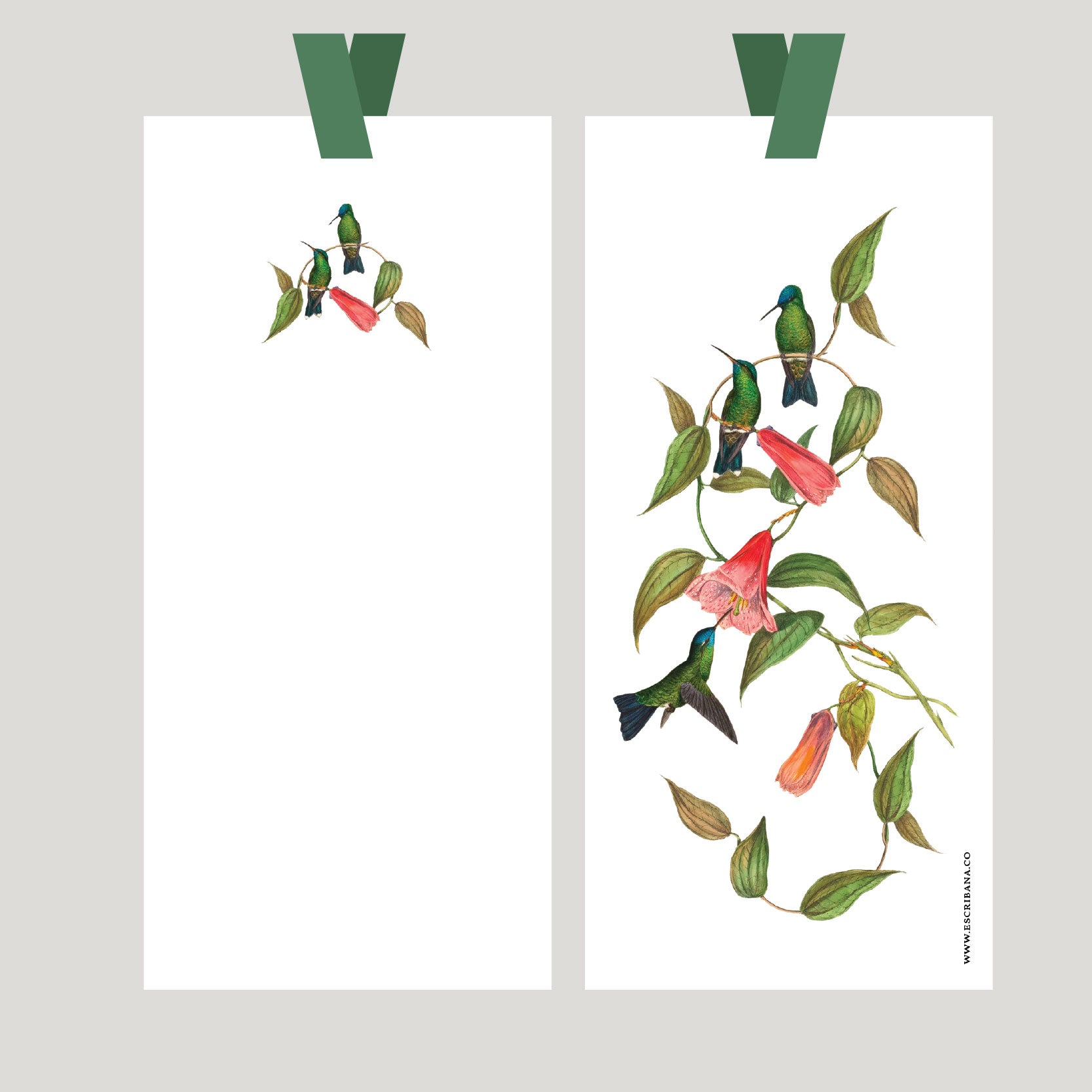 Registros / Folios Colibri