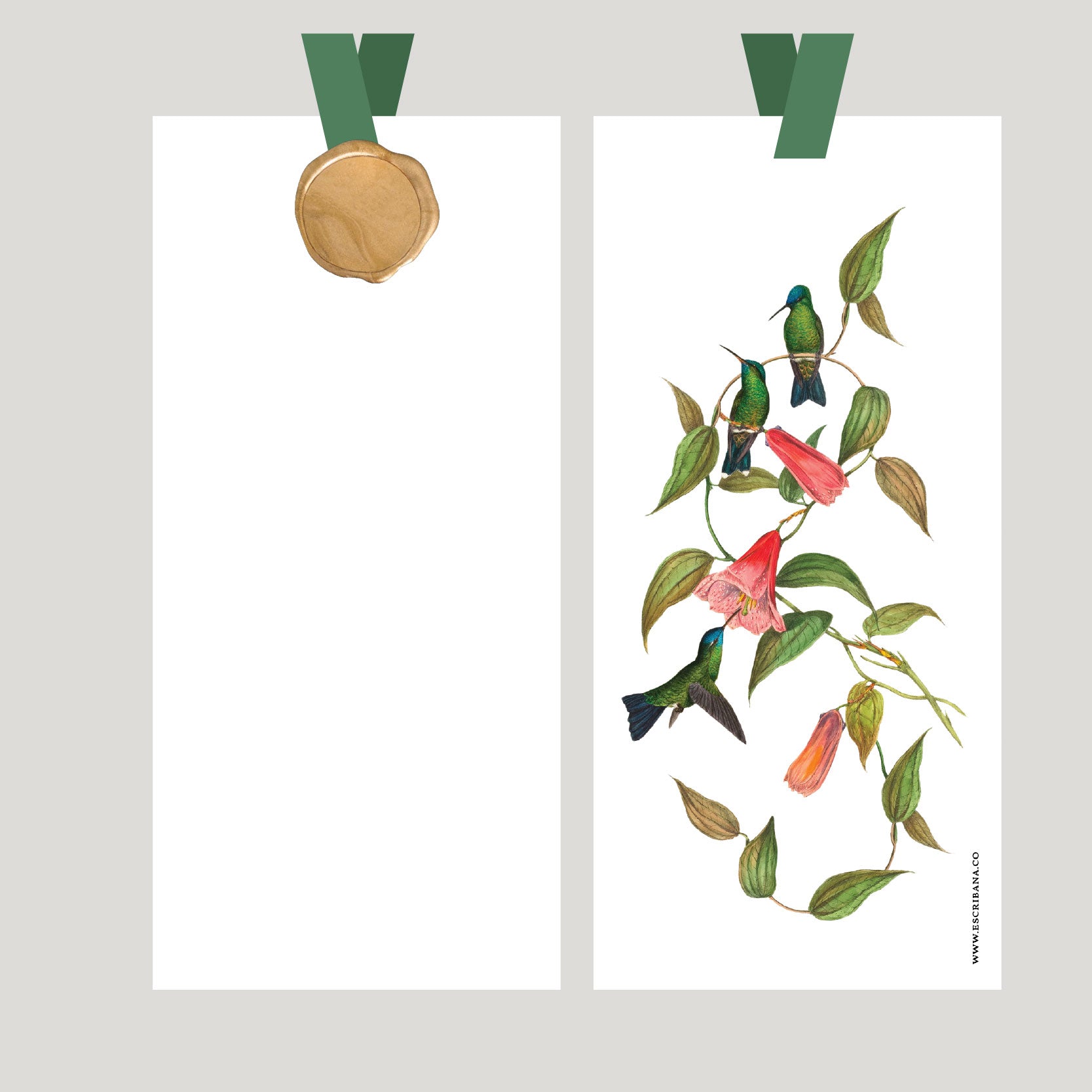 Registros / Folios Colibri con Lacre