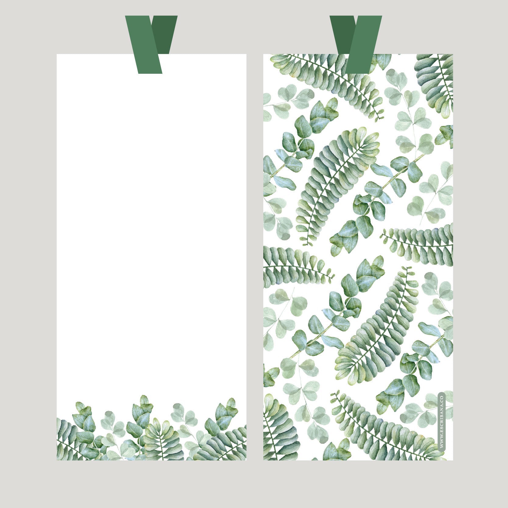 REGISTROS / FOLIOS EUCALIPTO MIX