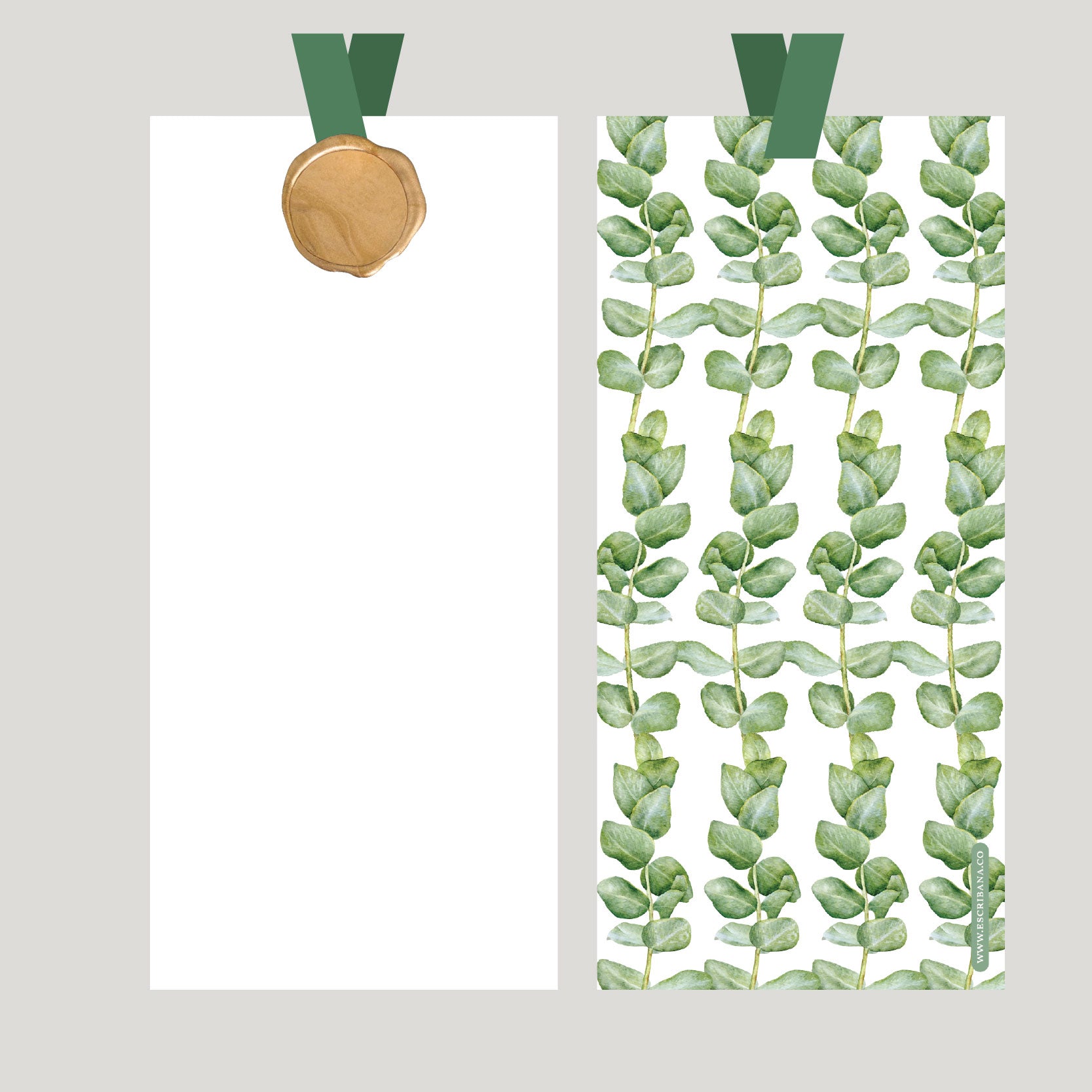 REGISTROS / FOLIOS EUCALIPTO CLASICO CON LACRE