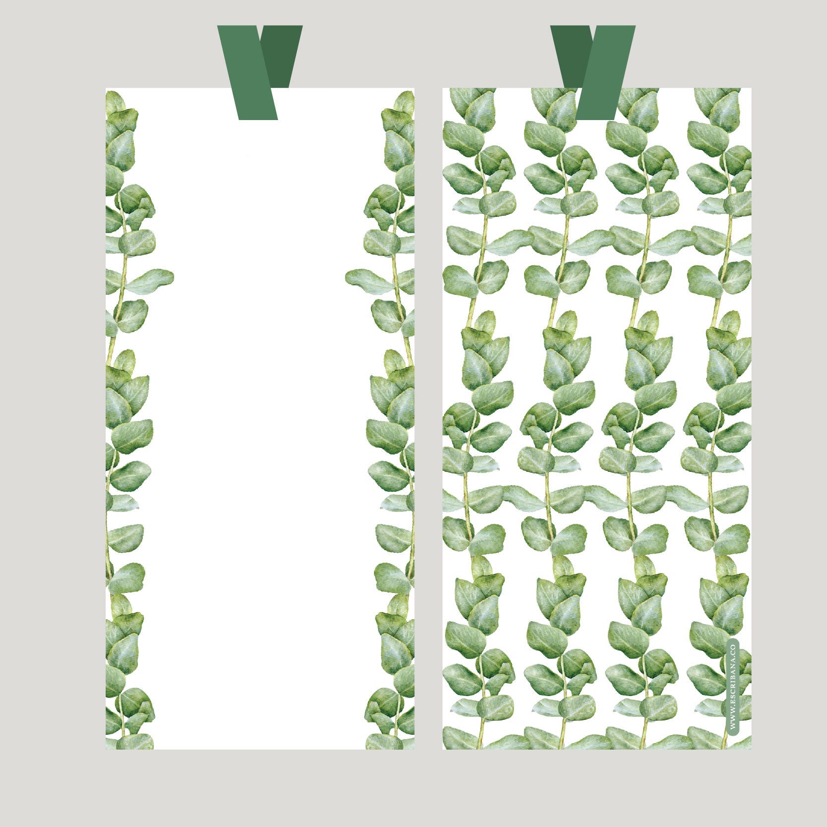 REGISTROS / FOLIOS EUCALIPTO CLASICO