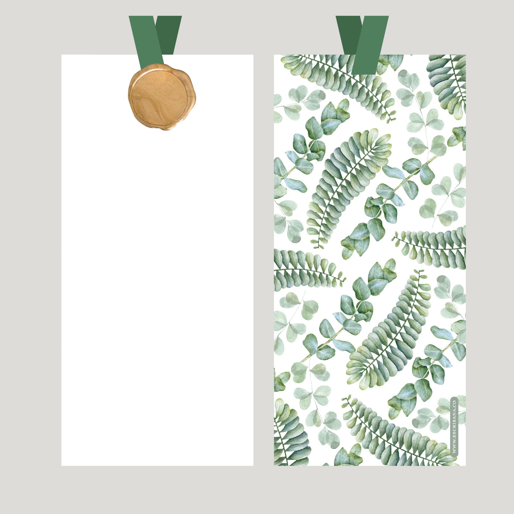 REGISTROS / FOLIOS EUCALIPTO MIX CON LACRE