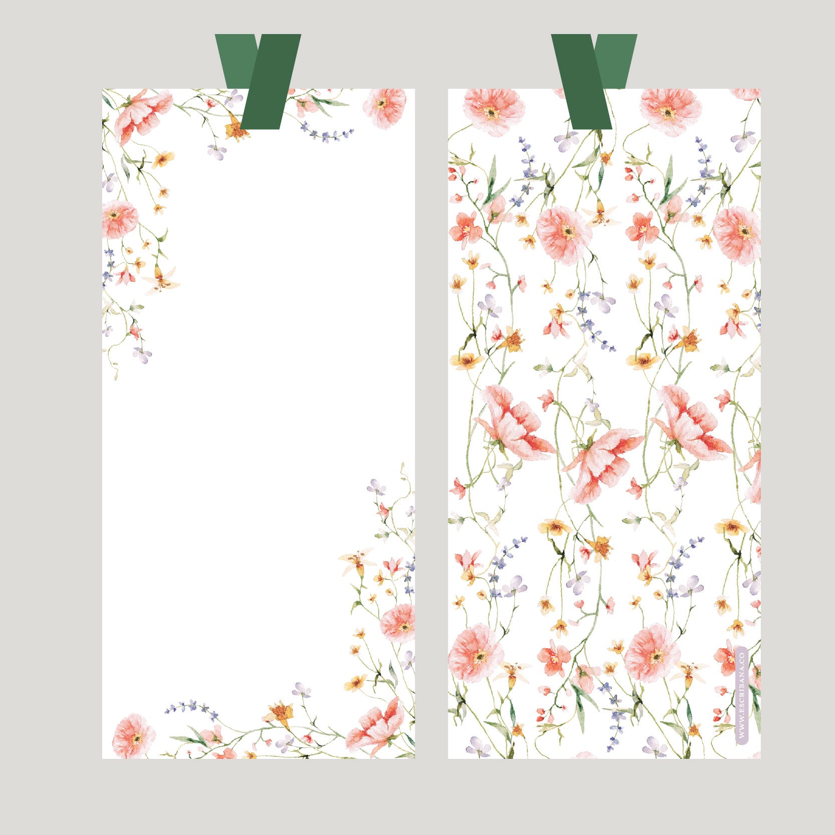 REGISTROS / FOLIOS FLORA