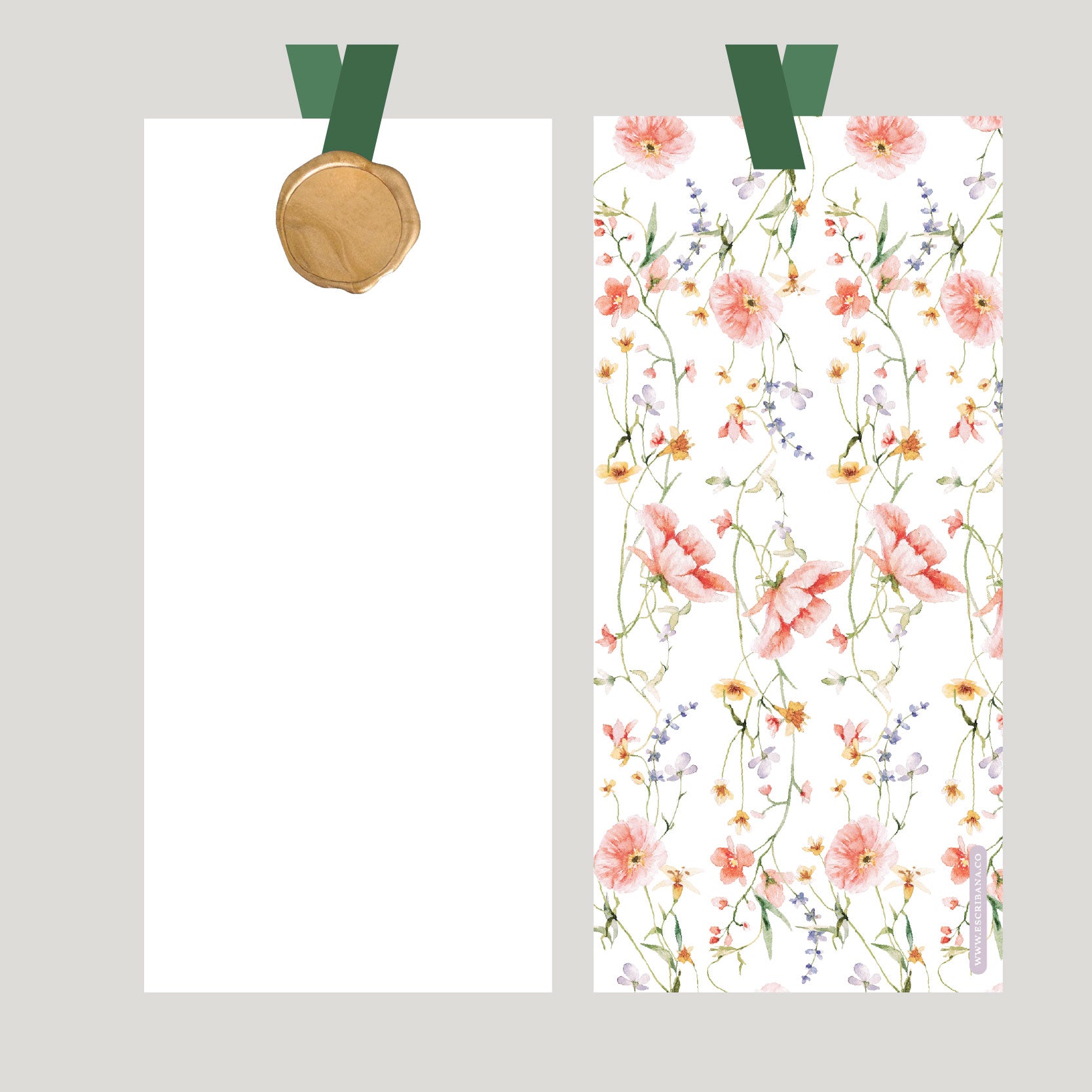 REGISTROS / FOLIOS FLORA CON LACRE