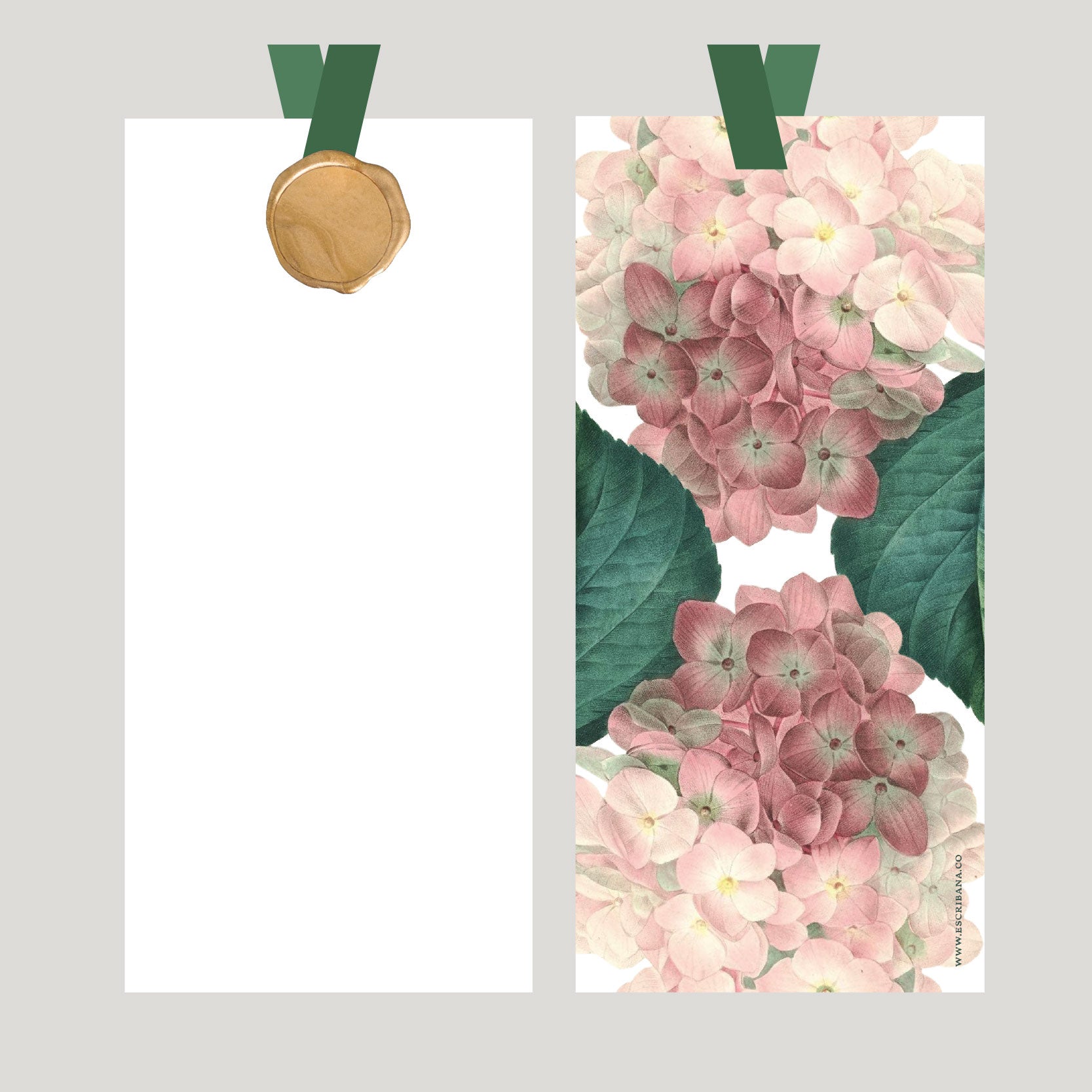 REGISTROS / FOLIOS HORTENSIA CON LACRE