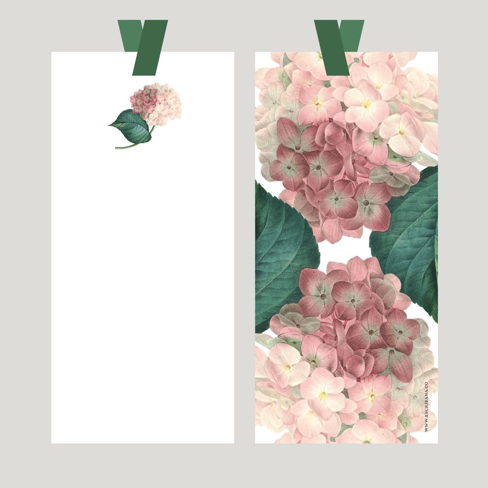 REGISTROS / FOLIOS HORTENSIA