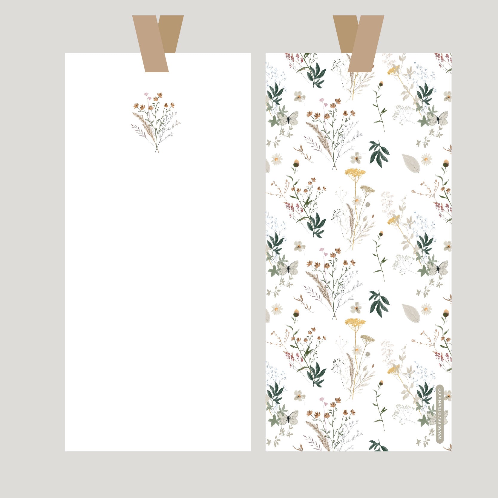 Registros / Folios Cadiz