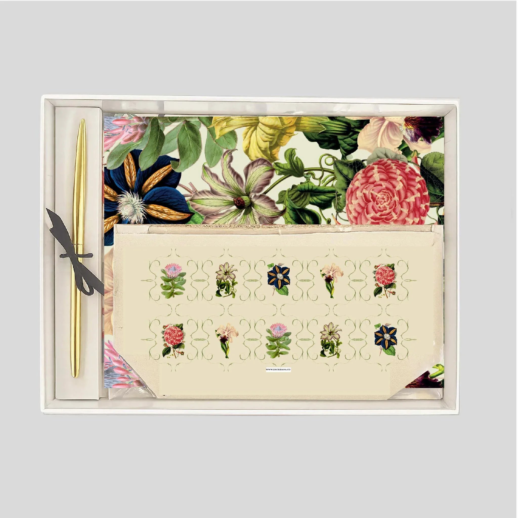 Pack grande cuaderno Protea