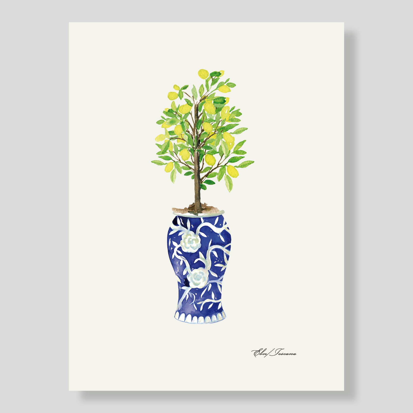 Lamina XL Toscana Limon