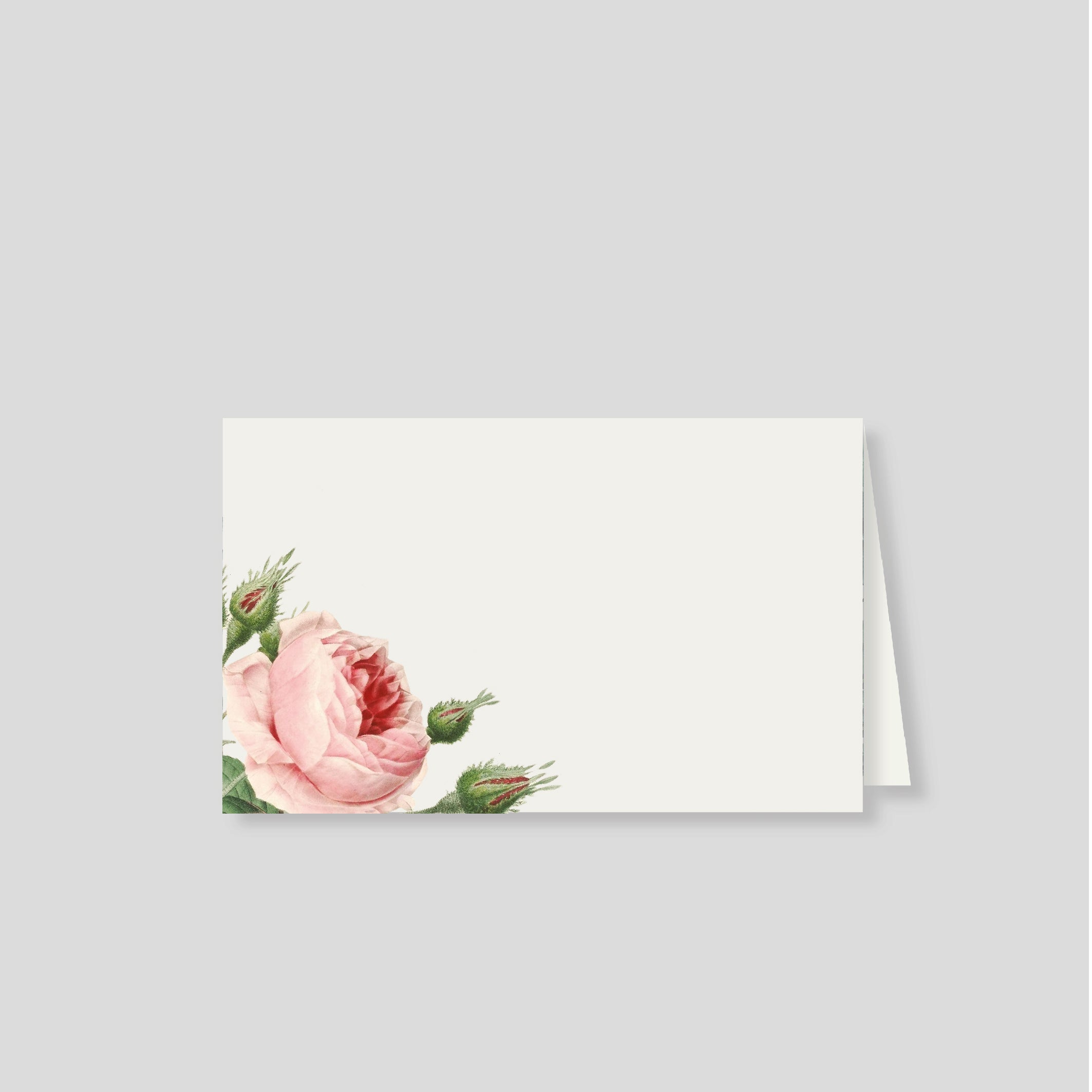 Notas dobles con sobre Rosa
