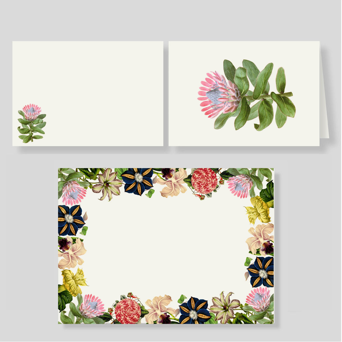 Pack Grande de Tarjetas Protea
