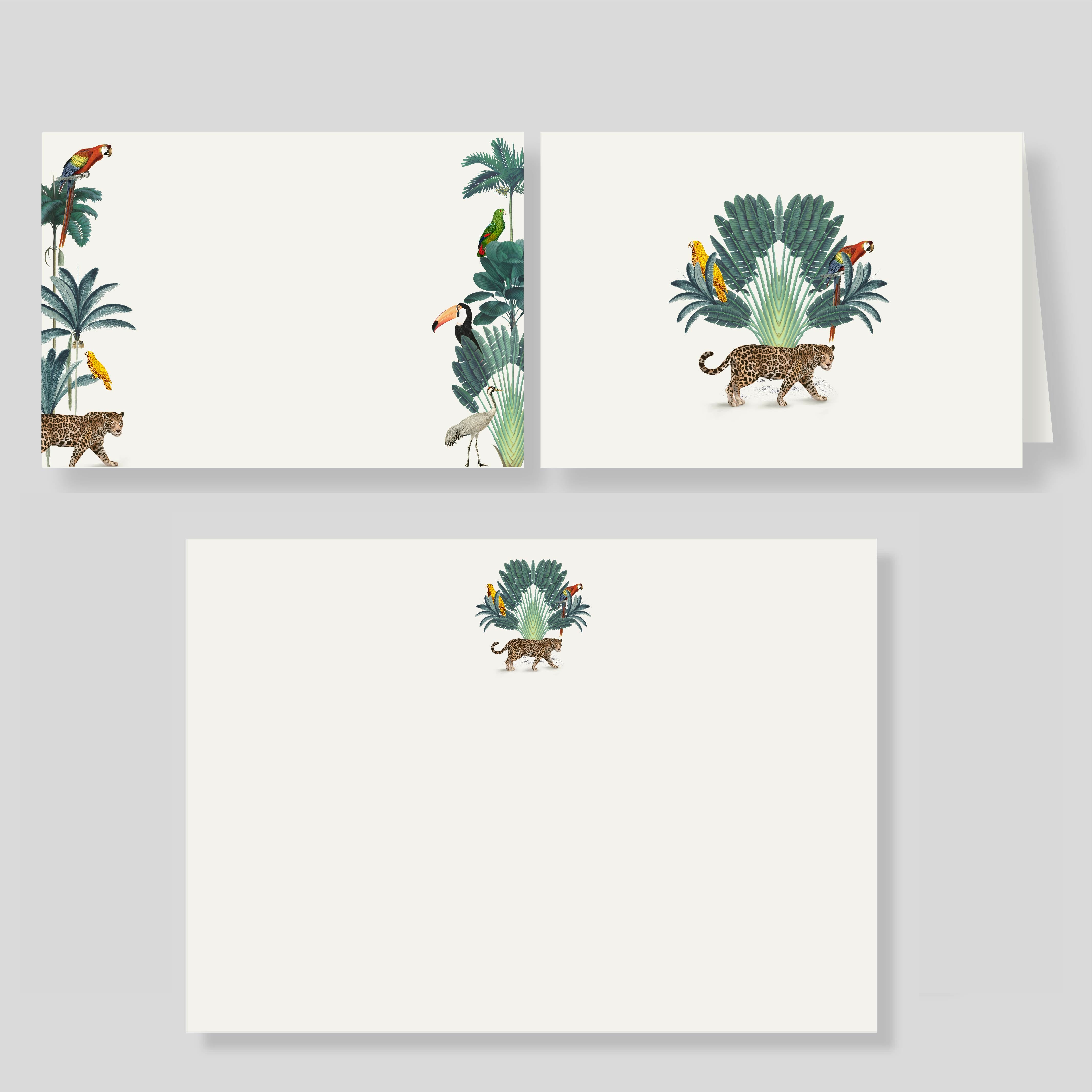 Pack Escritorio Grande Amazonas