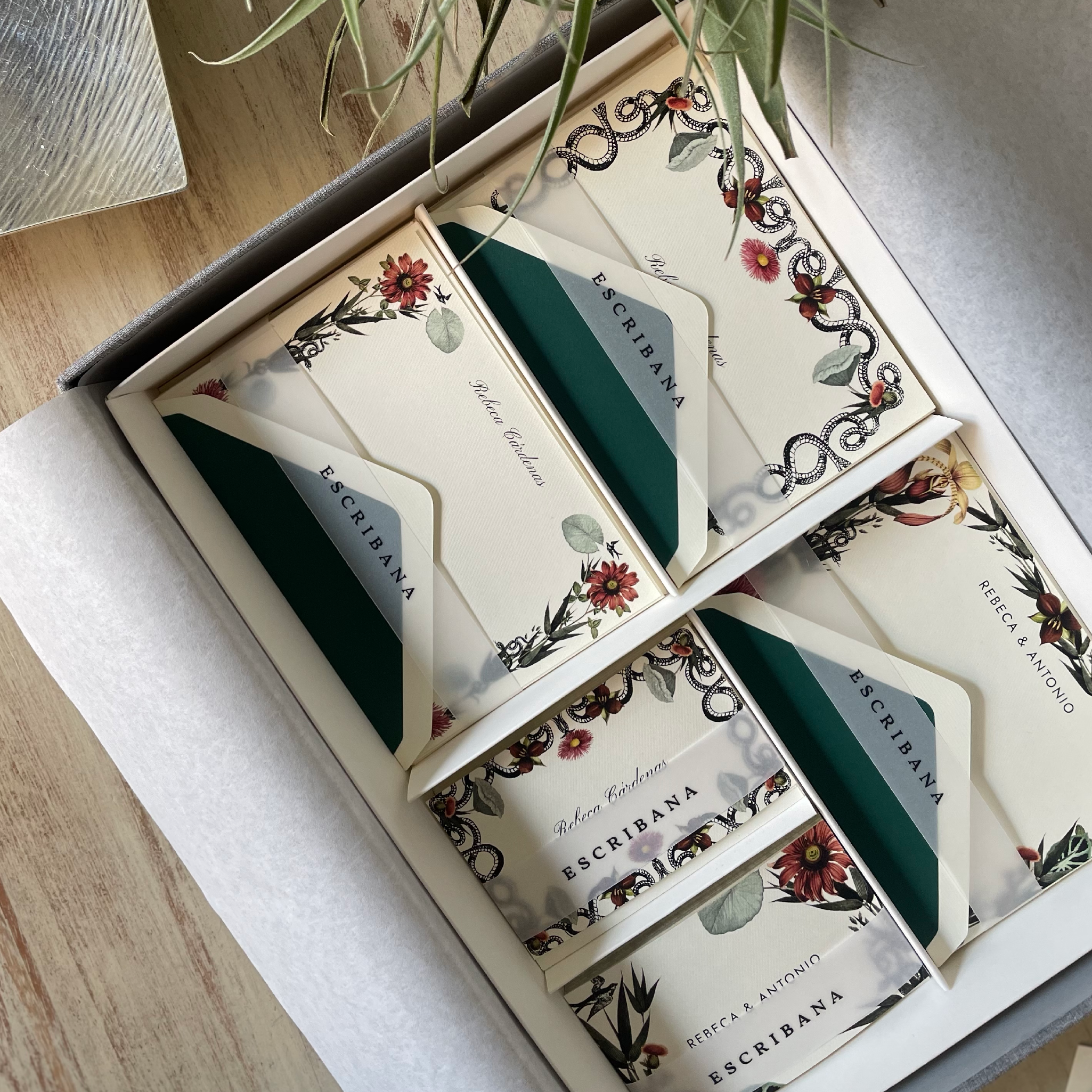 Caja Grande Flex Protea